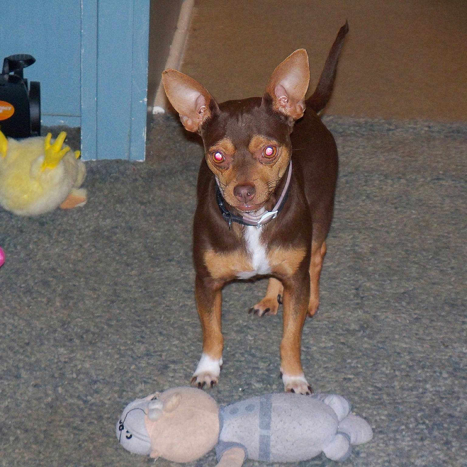 Wayne joined the competition — help win amazing prizes!