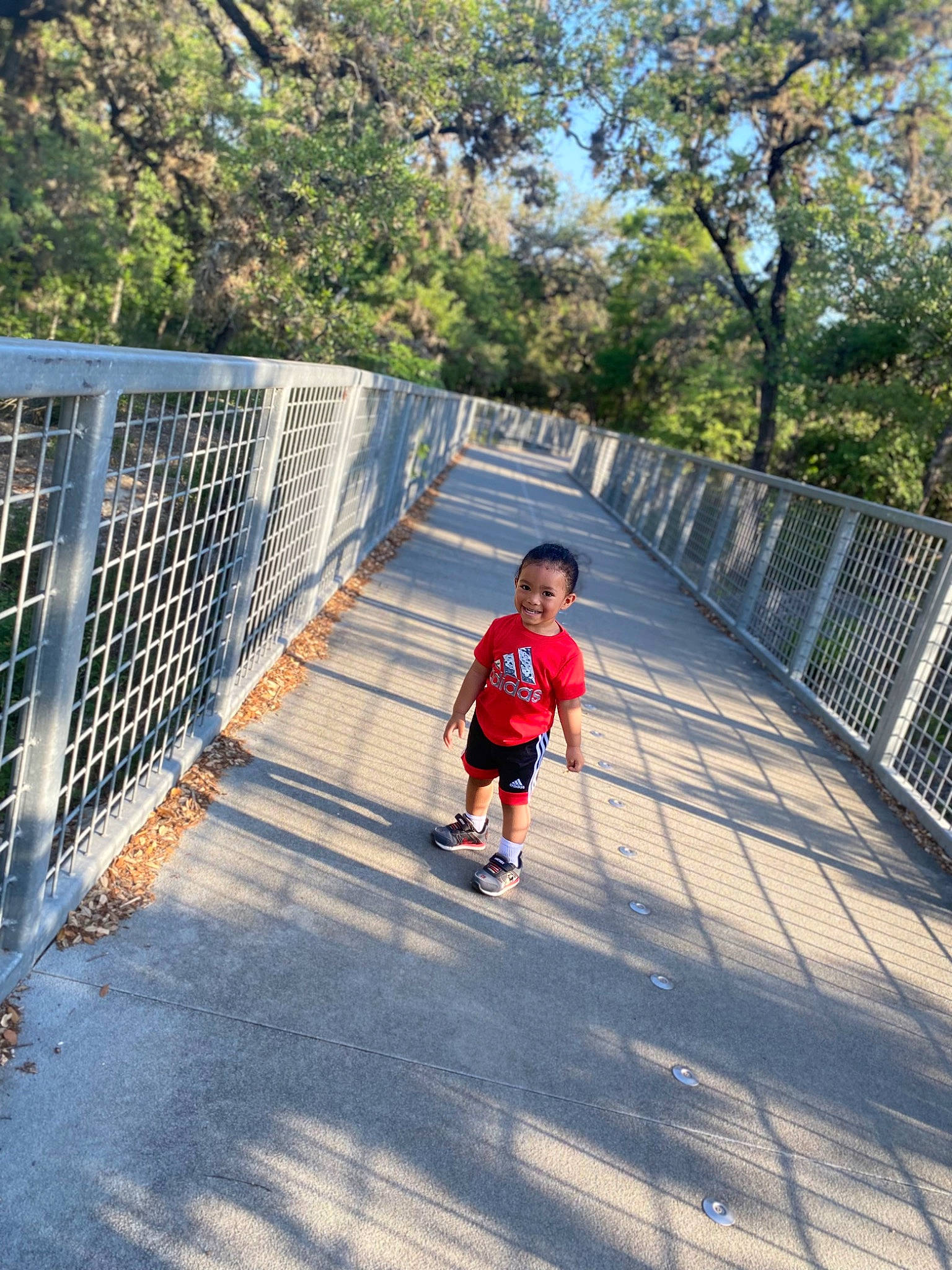 Zayvion is registered to the contest to win money with this photo: asphalt, bridge, child, fence, fun, handrail, joy, landscape, leaf, leisure, mesh, net, nonbuilding_structure, pedestrian, person, recreation, sidewalk, sky, toddler, tree