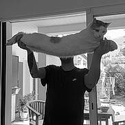 Petitminaow a rejoint le concours — aidez-le/la à gagner de superbes lots ! black_and_white, cat, person, indoor, holding, stretching, long_cat, window, patio, chair, plant, shorts, tshirt, home, animal, human, door, relaxed, casual, daylight