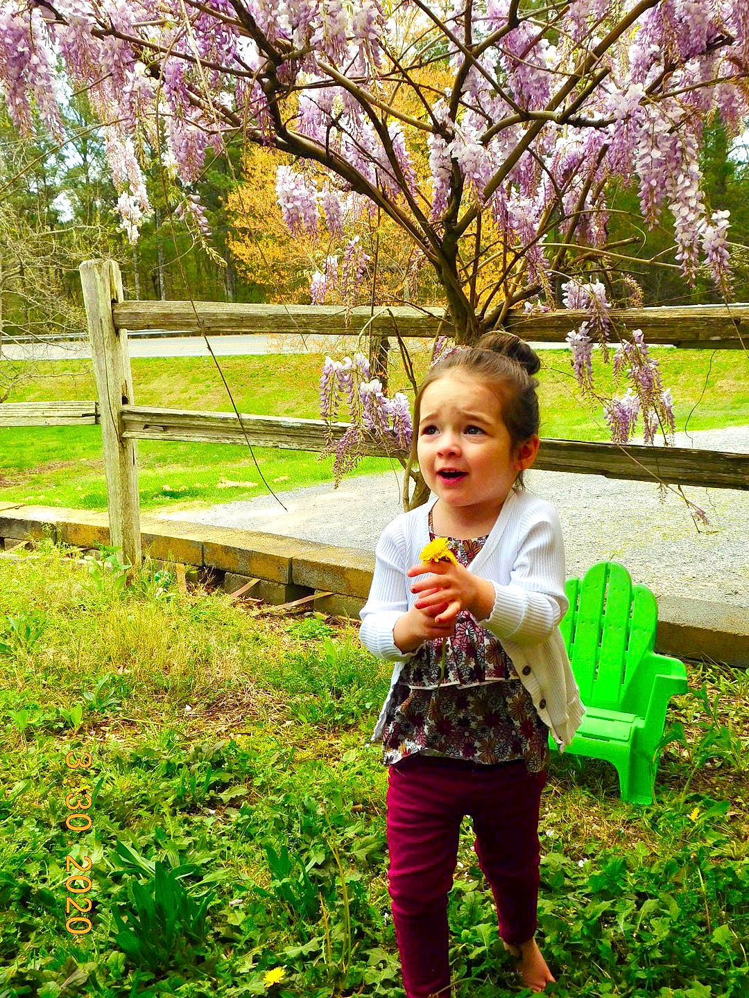 Leigha is registered to the contest to win money with this photo: blossom, botany, cherry_blossom, child, fawn, flower, grass, green, happy, leaf, leisure, people_in_nature, person, pink, plant, play, smile, spring, toddler, tree