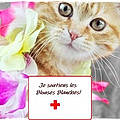 Liliane C.