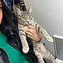 Lewan participe au concours pour gagner de l'argent avec cette photo : cat, person, indoor, gray_tabby, green_eyes, holding, coat_rack, cat_tree, jacket, green_shirt, hand, fur, pet, domestic, relaxed, limbs, stretching, portrait, home, casual