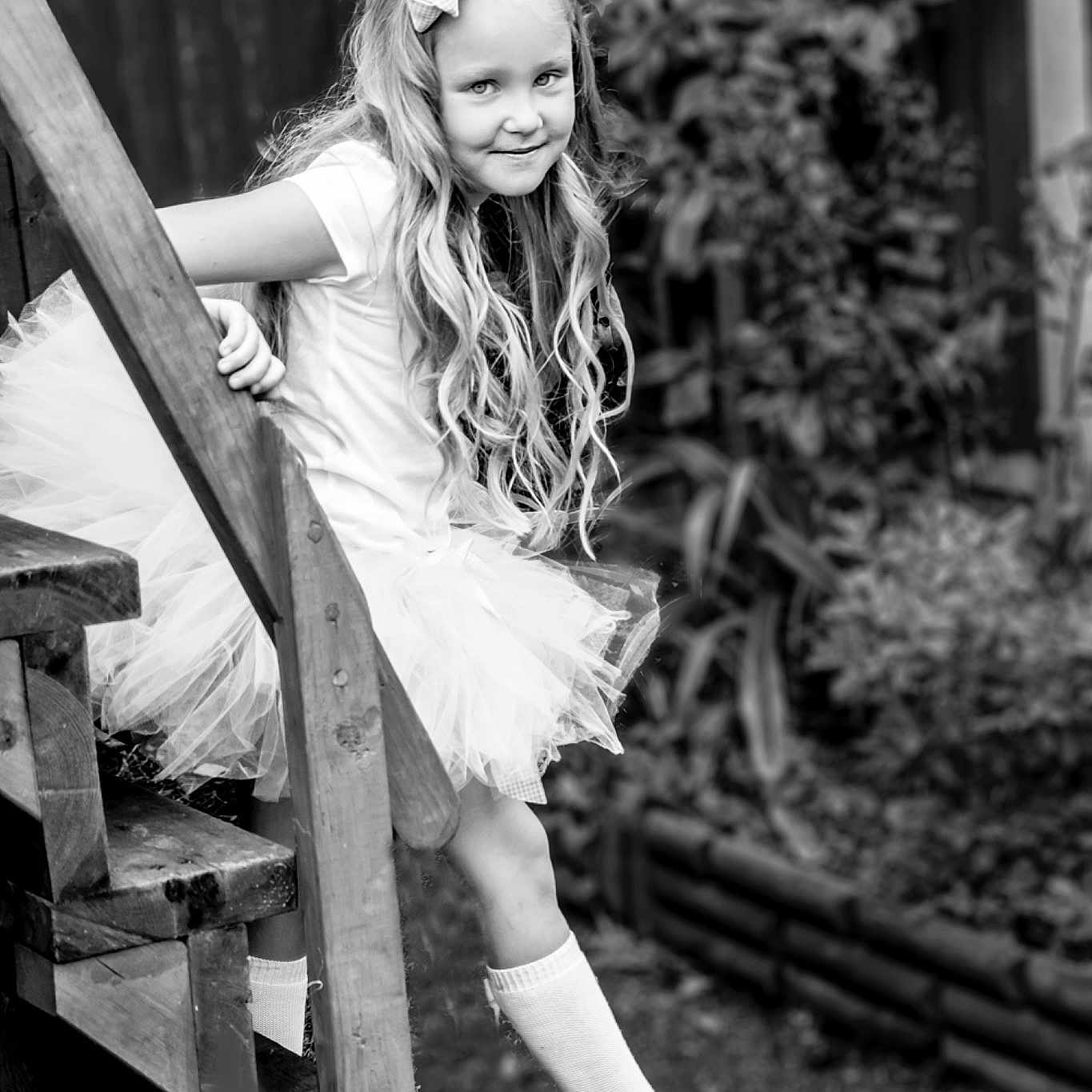 Dolly