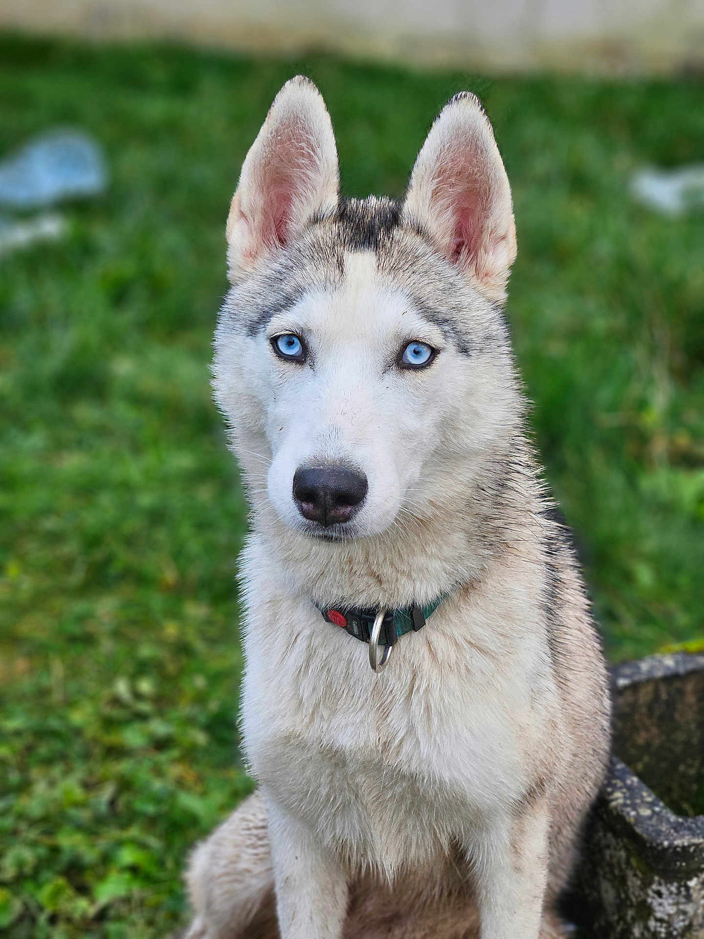Kyra