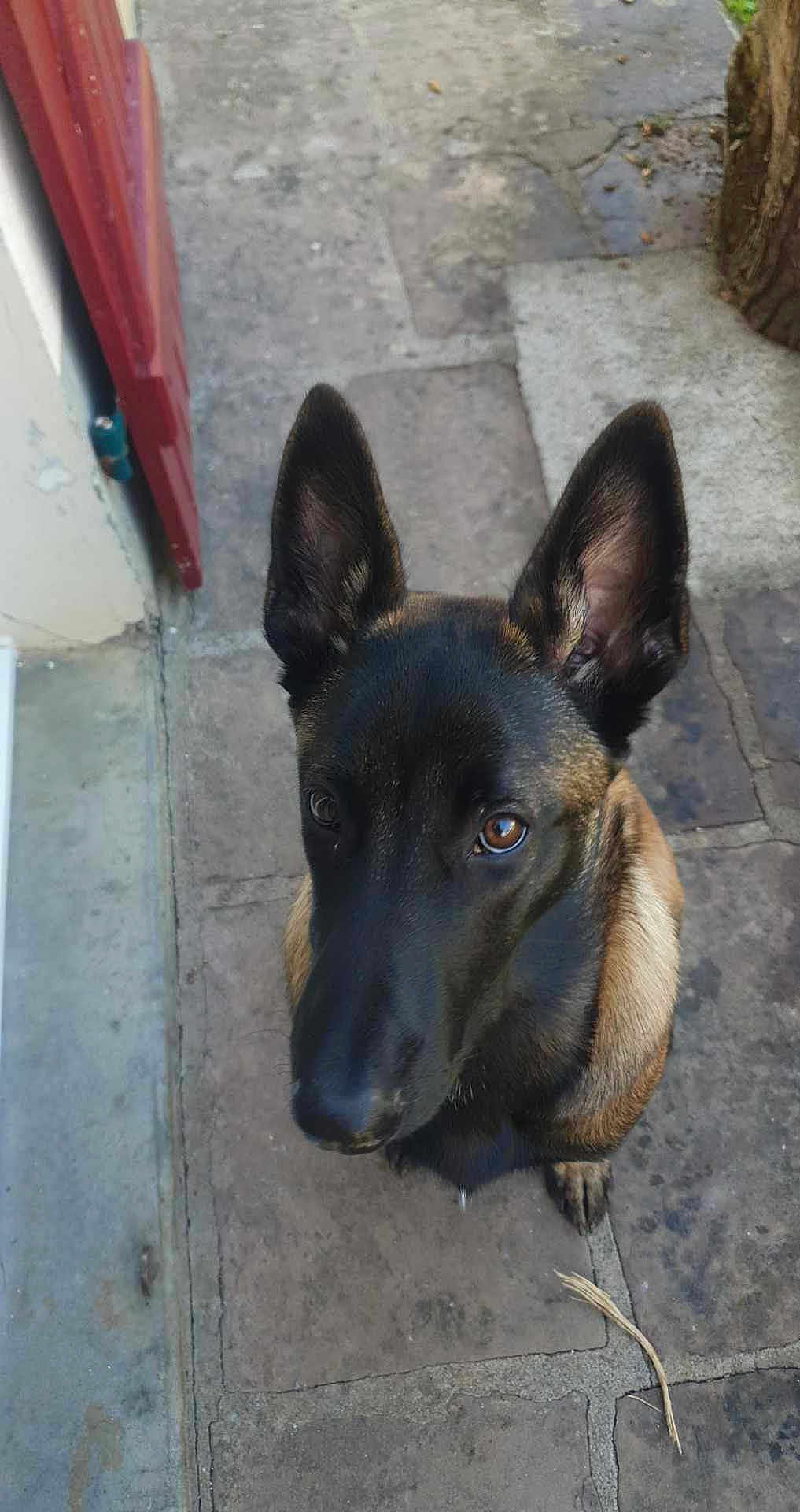 Luna