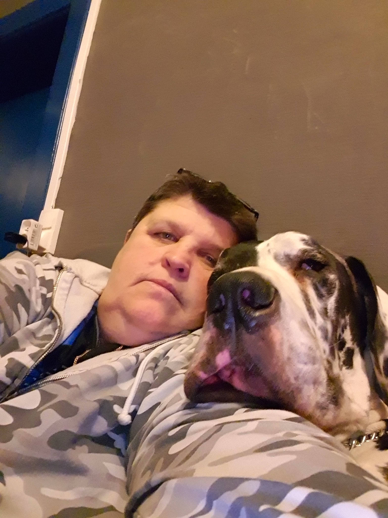 Jango participe au concours pour gagner de l'argent avec cette photo : american_bulldog, canidae, carnivore, dog, dog_breed, fawn, great_dane, guard_dog, non_sporting_group, person, pointer, puppy_love