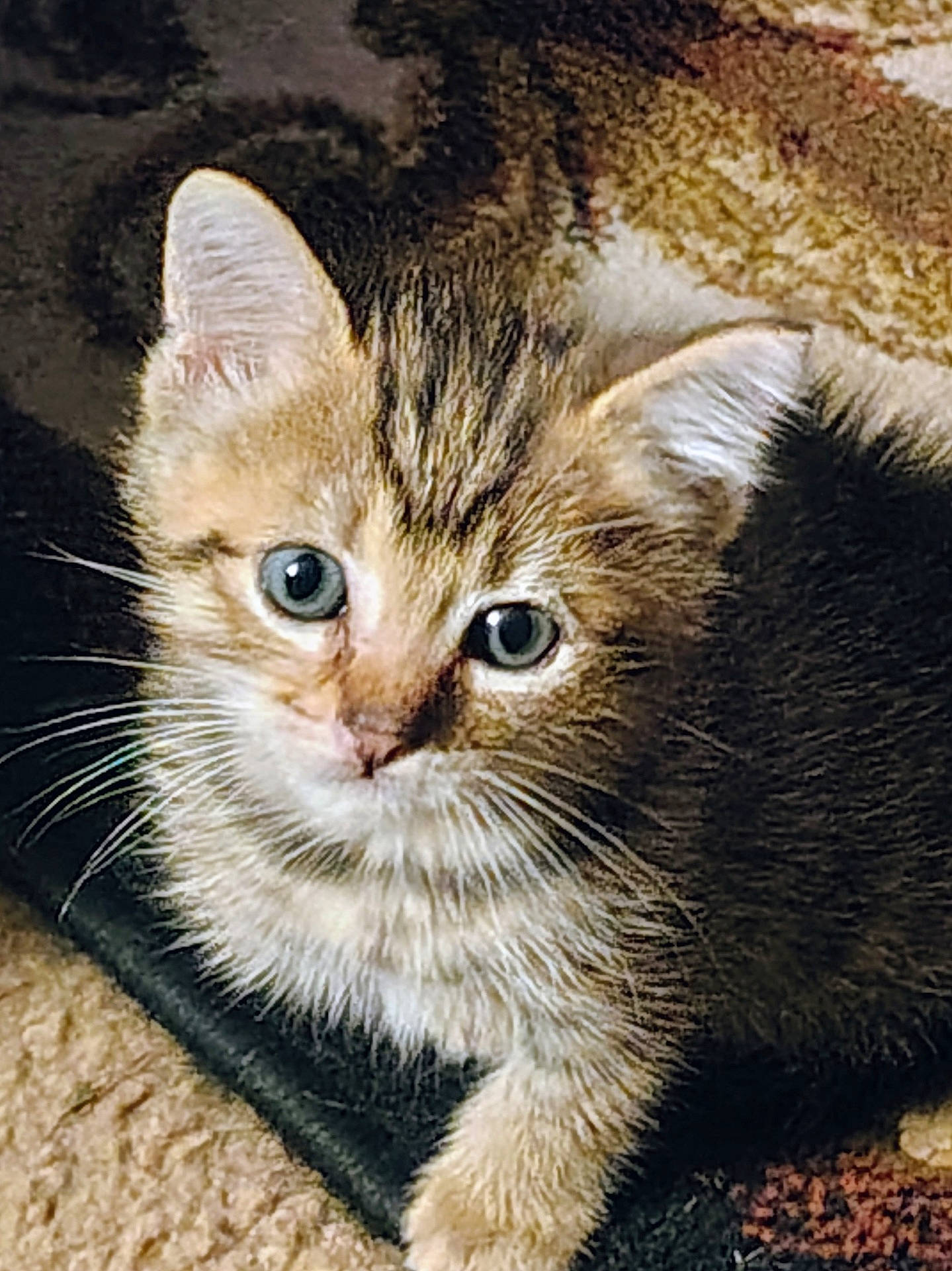 Tigger
