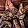 Tigger