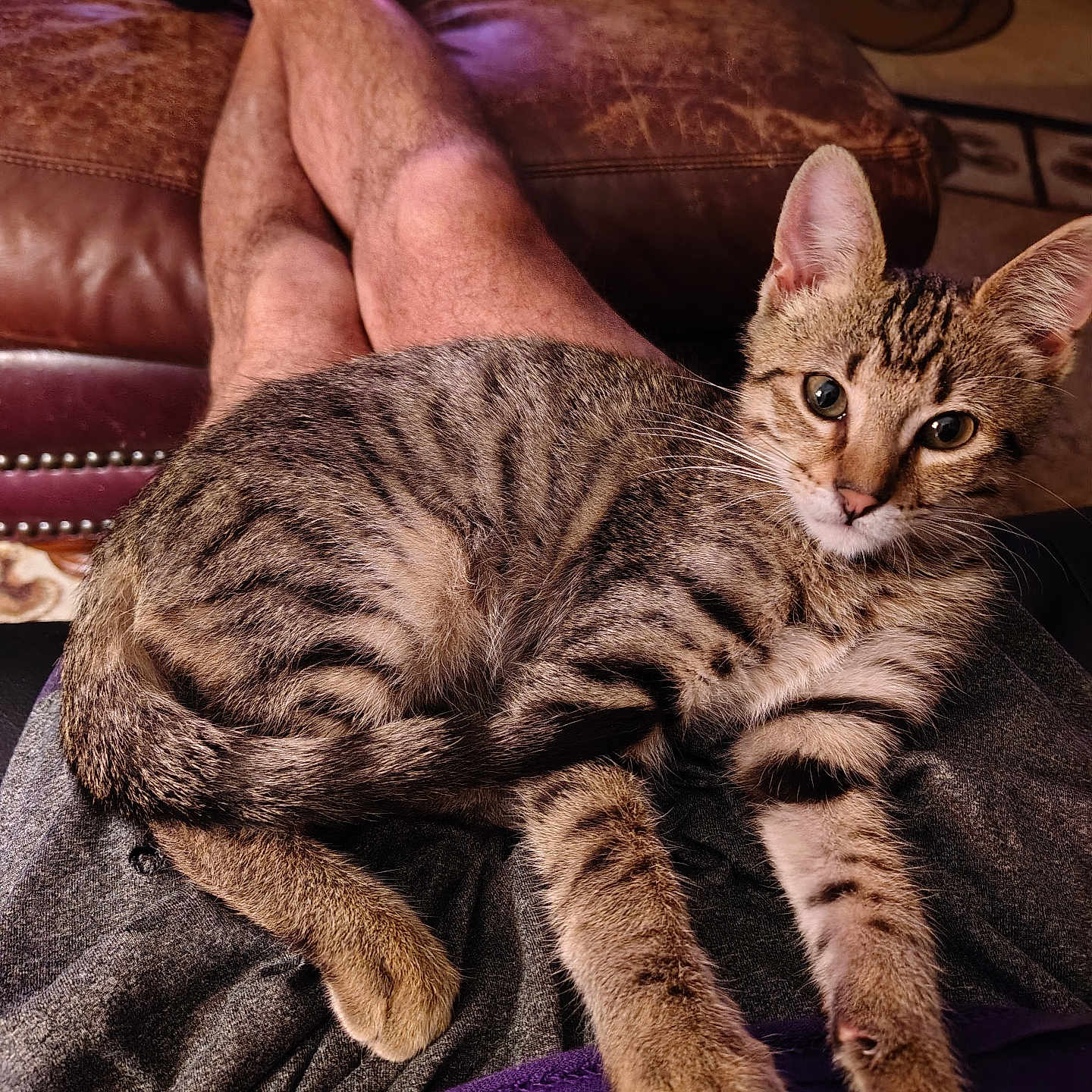Tigger
