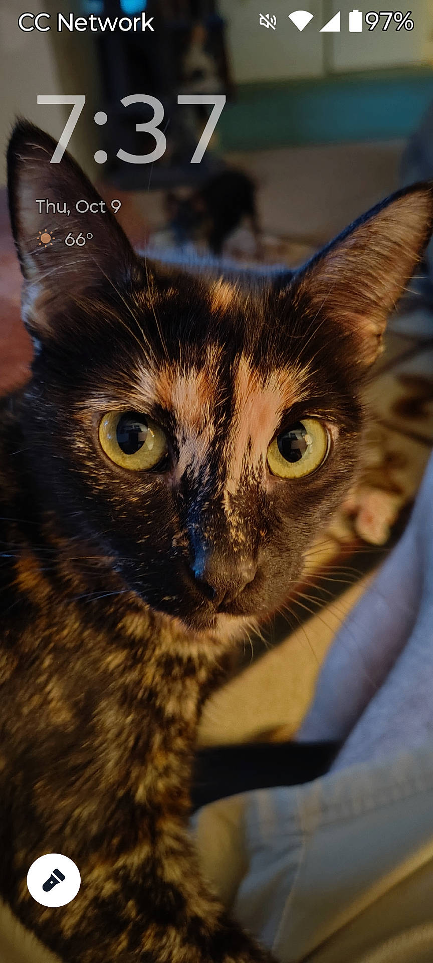 Patches