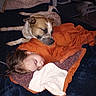 Maxwell joined the competition — help win amazing prizes! child, dog, sleeping, nap, bedroom, blanket, orange_blanket, blue_bedding, pillow, snuggling, resting, indoors, bed, sleepy, peaceful, brown_dog, white_dog, toddler, portrait, cozy