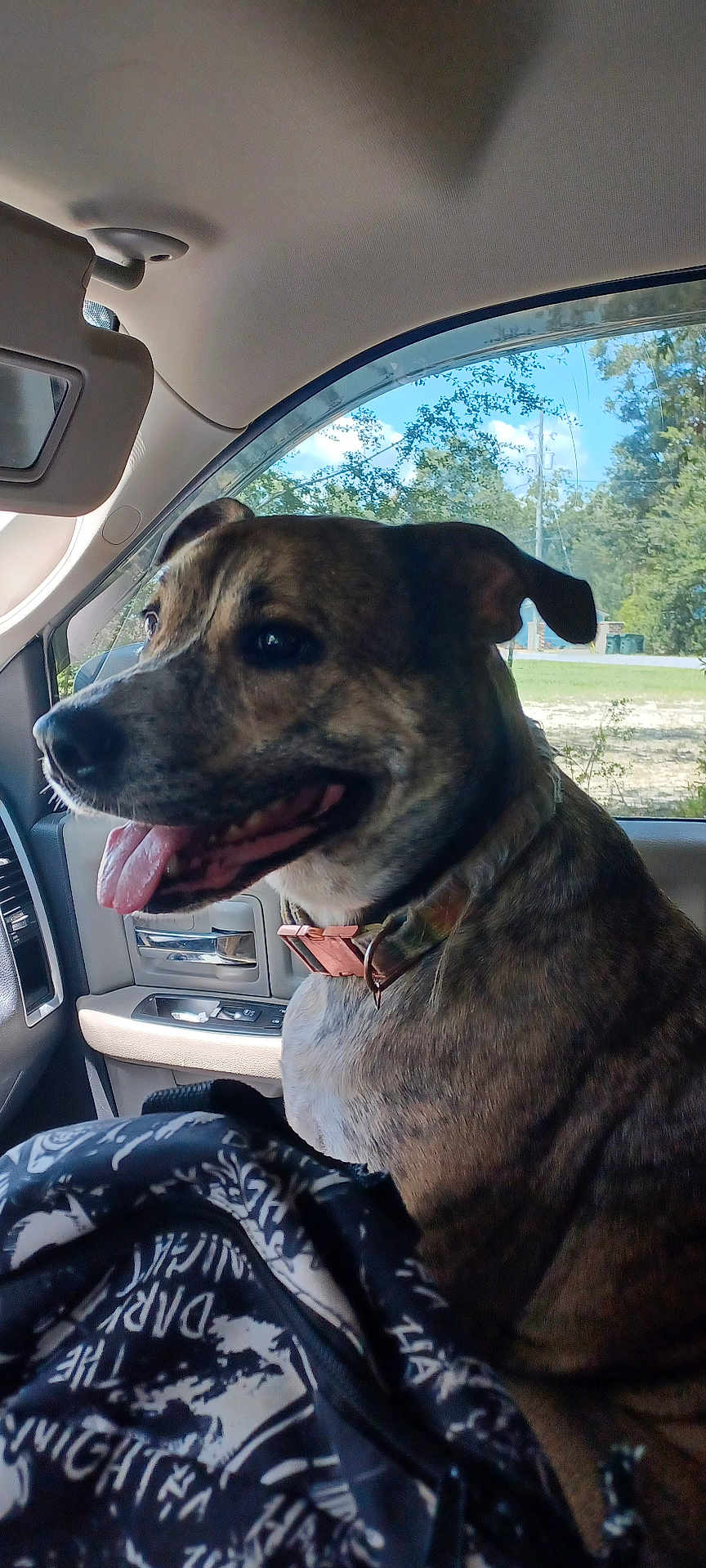 Cocoa
