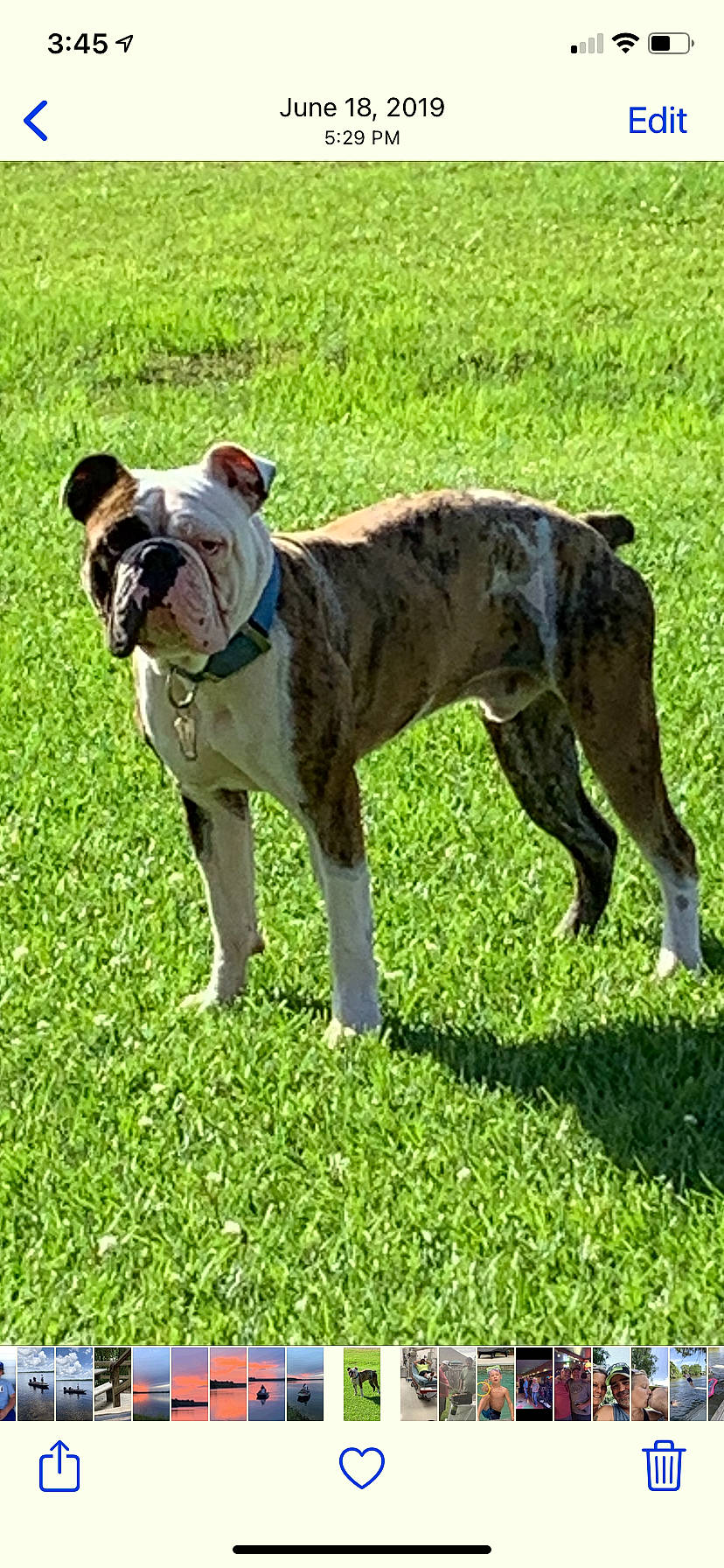 Big Boy