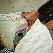 Nini participe au concours pour gagner de l'argent avec cette photo : adult, architecture, blanket, bodypart, building, cushion, face, finger, furniture, hand, head, homedecor, hospital, male, man, patient, person, skin, sleeping, yawning