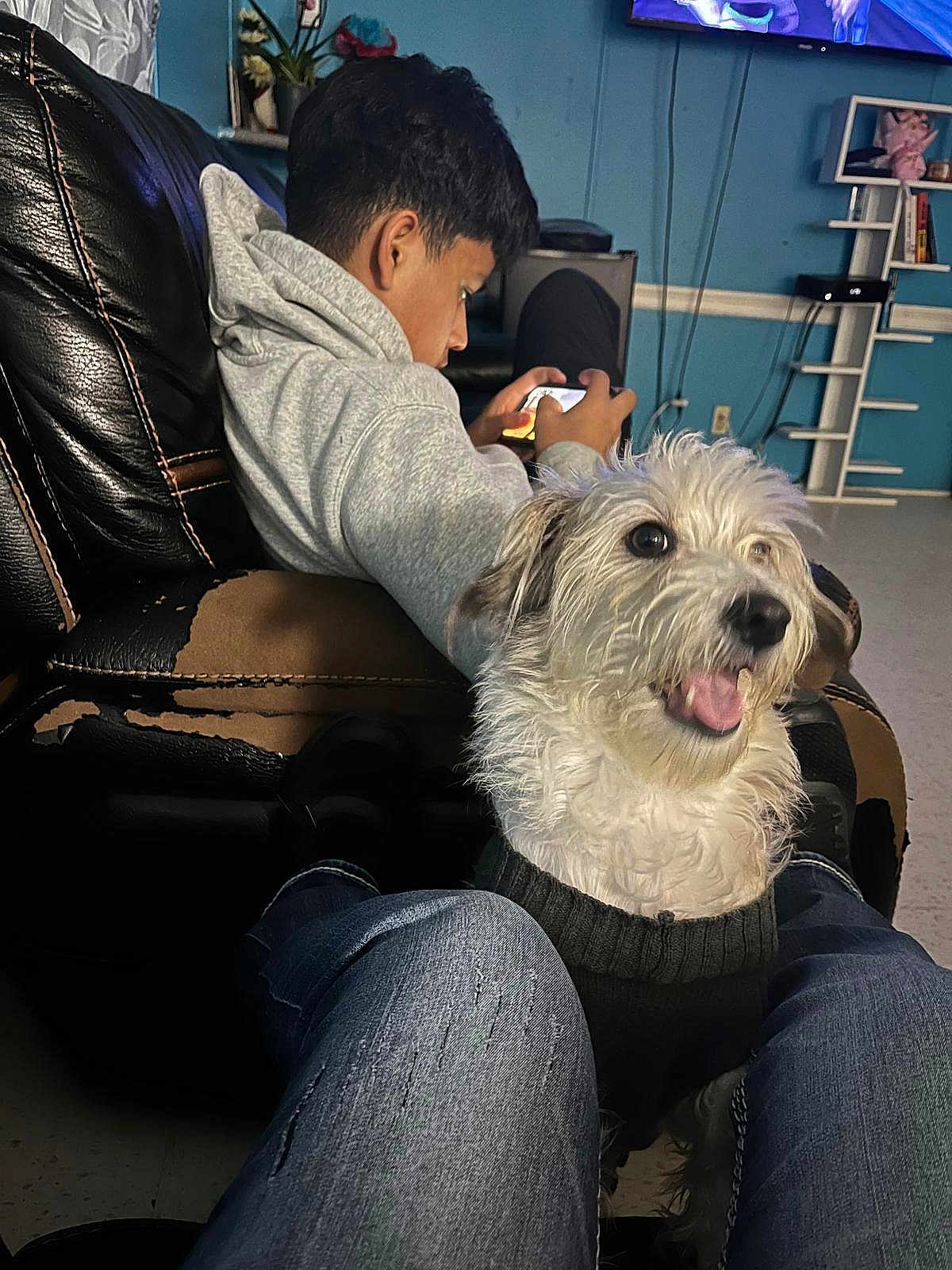 Rocky is registered to the contest to win money with this photo: indoor, person, dog, phone, gaming, chair, sweater, jeans, leather, couch, happy, pet, casual, technology, floor, living_room, entertainment, furniture, young_adult, relaxation