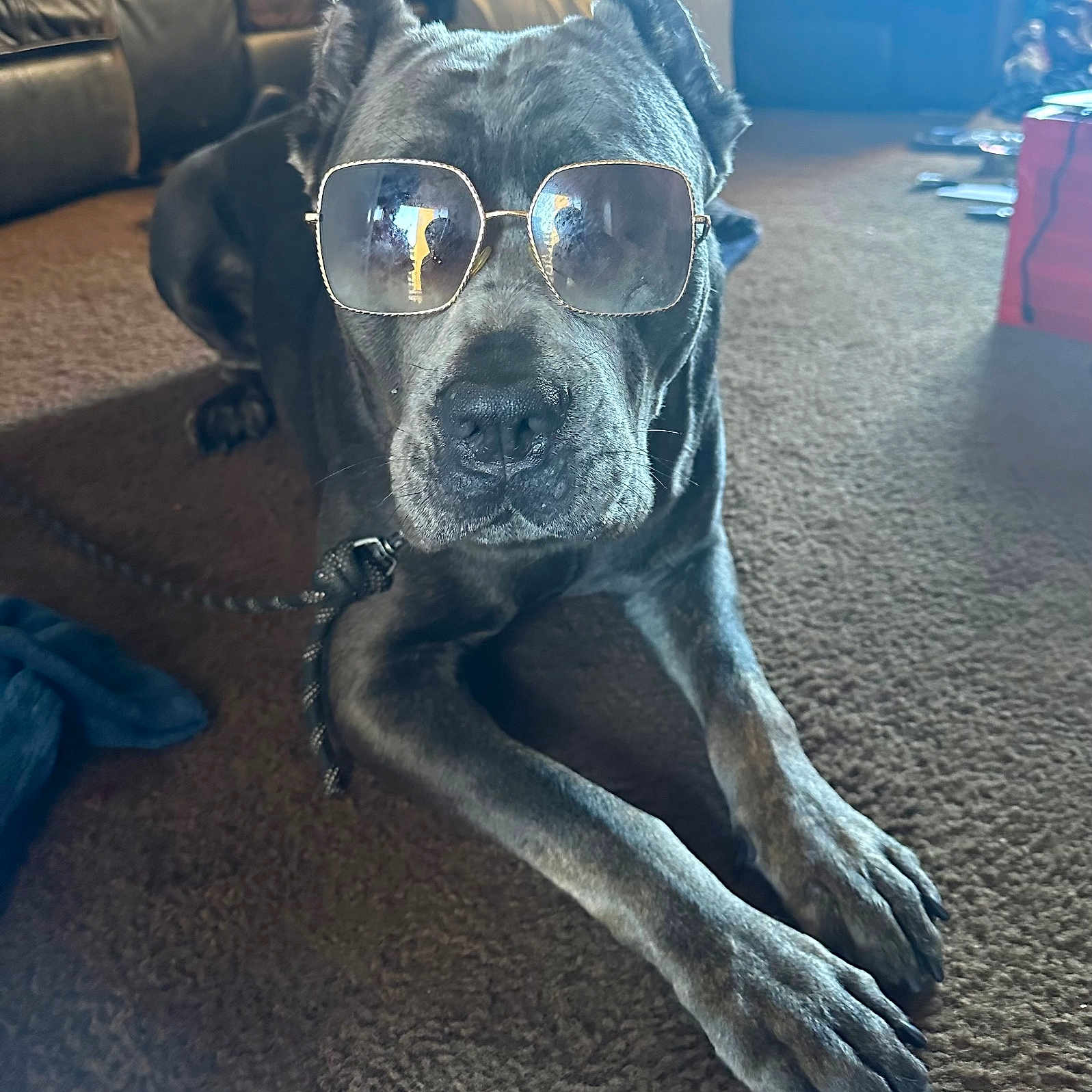 Mitzi