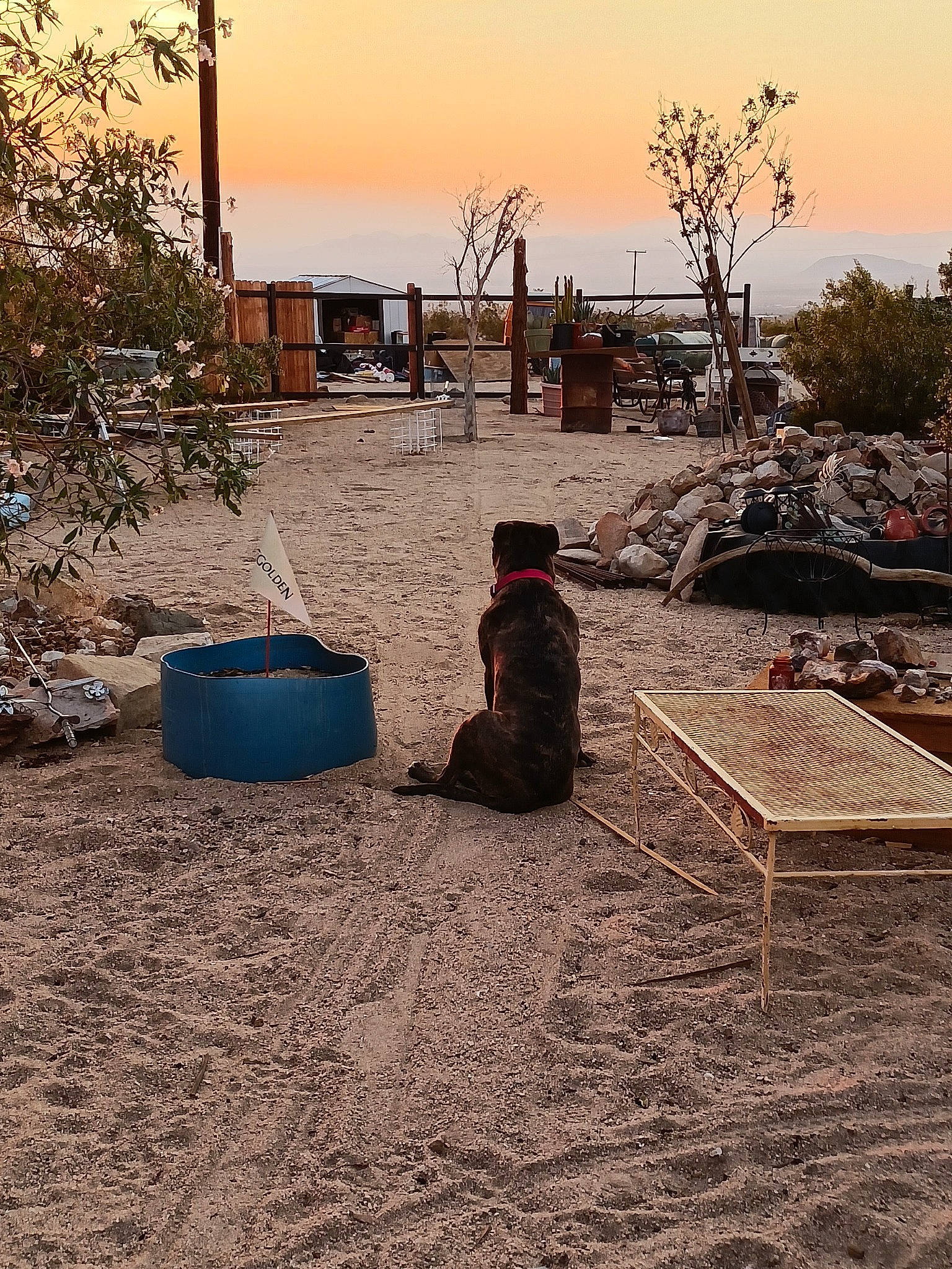 Olive Gypsy is registered to the contest to win money with this photo: asphalt, city, grass, landscape, leisure, morning, plant, road_surface, rock, sand, sitting, sky, soil, sunlight, tints_and_shades, toddler, tree, winter, wood, woody_plant