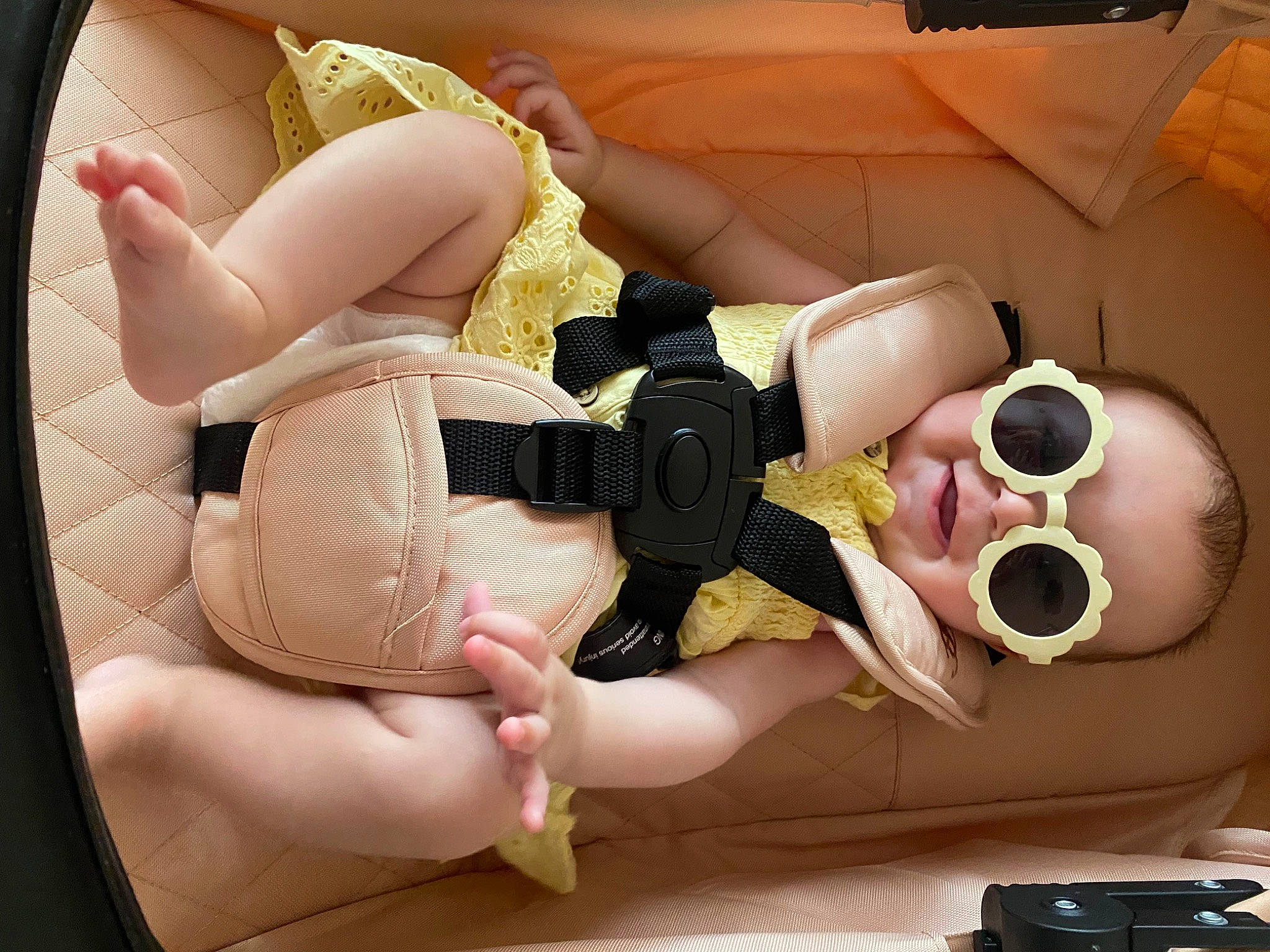 Arabella joined the competition — help win amazing prizes! animation, arm, camera, chest, comfort, doll, eyelash, eyewear, finger, flesh, hand, human_leg, nail, peach, person, pink, skin, thigh, thumb, toy