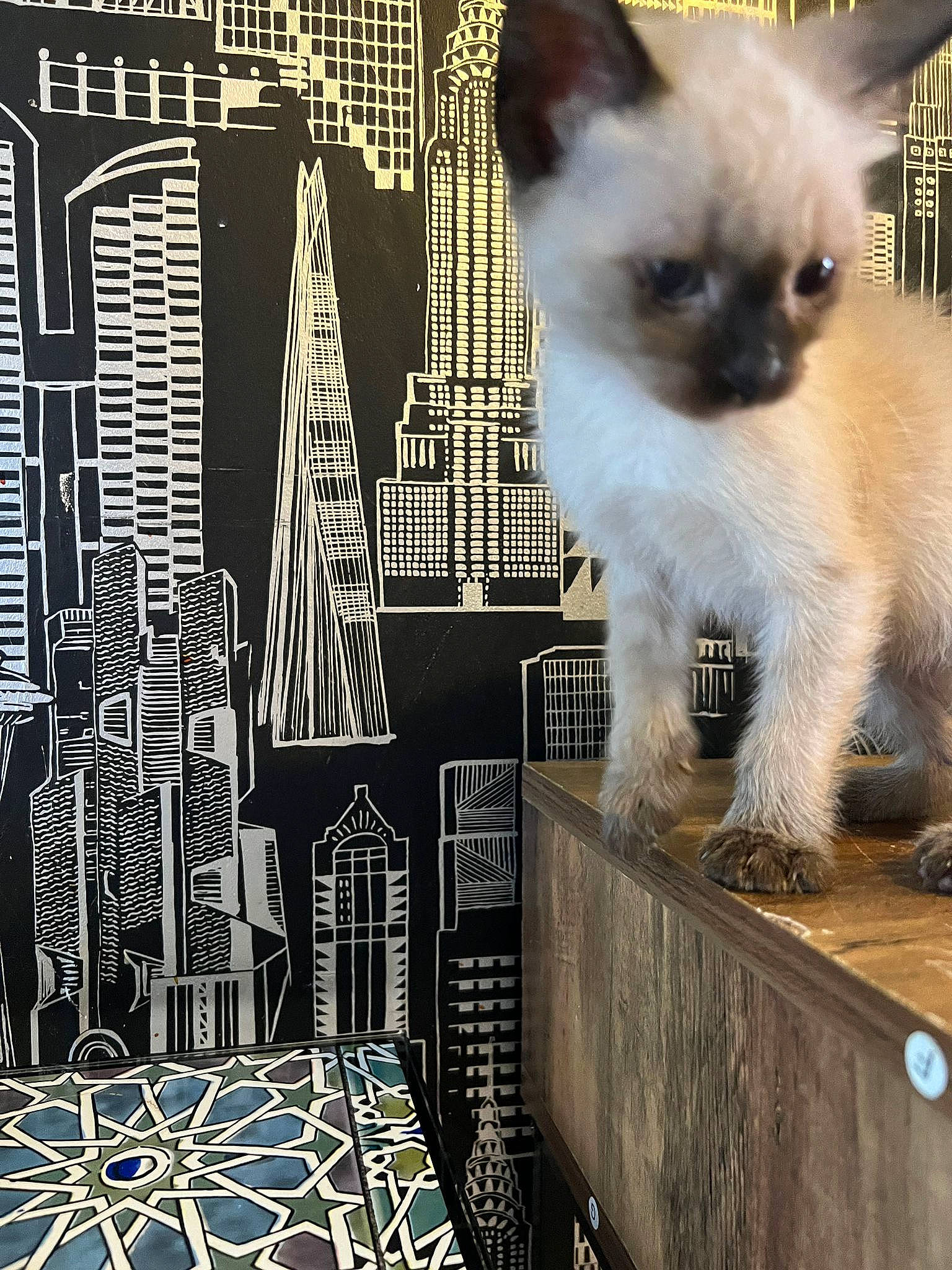 Yumi a rejoint le concours — aidez-le/la à gagner de superbes lots ! art, building, carnivore, cat, condominium, fawn, felidae, fur, line, pattern, siamese, skyscraper, small_to_medium_sized_cats, snout, tail, tower, tower_block, urban_design, visual_arts, whiskers