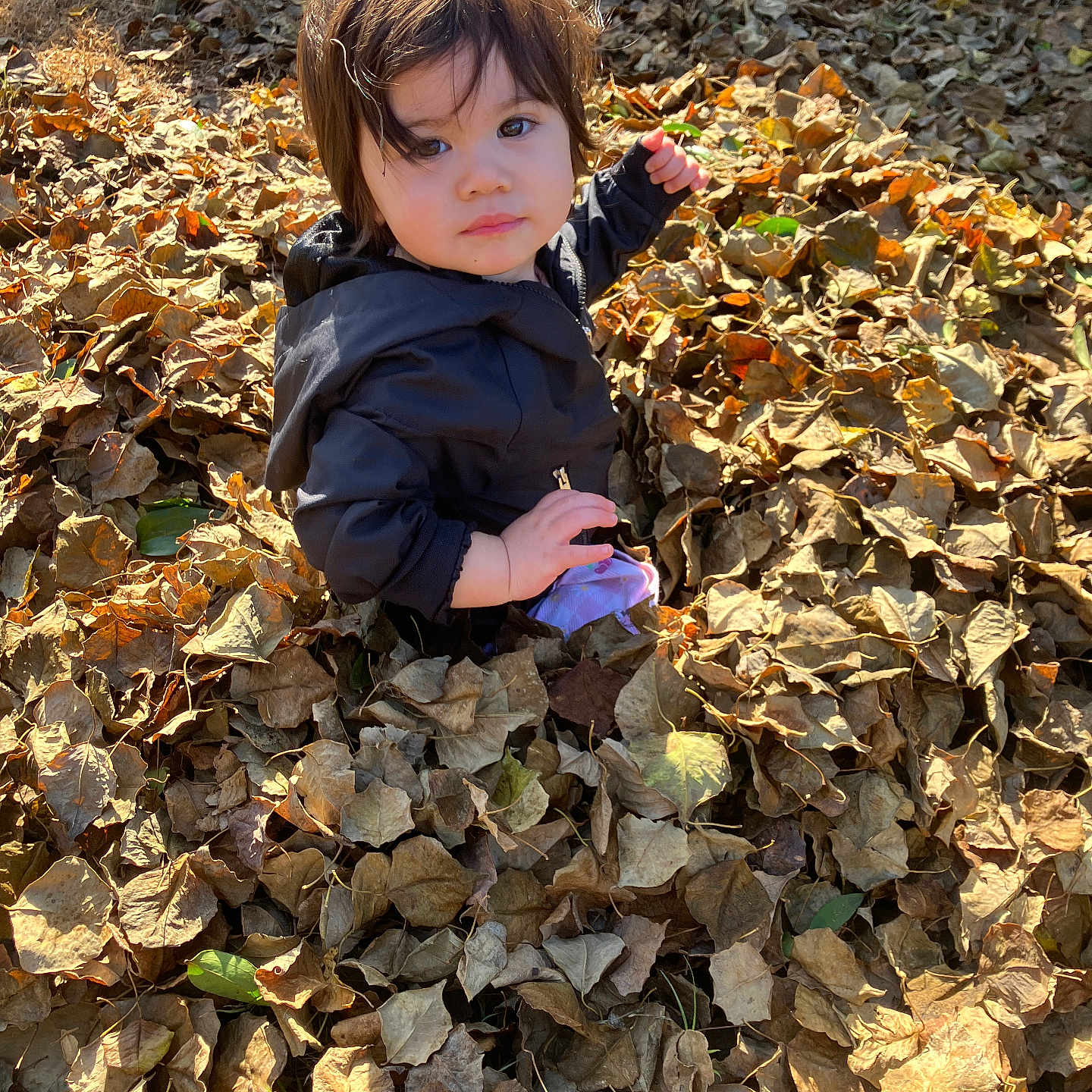 Meelah joined the competition — help win amazing prizes! baby, bodypart, clothing, coat, face, finger, hand, head, jacket, leaf, person, photography, plant, portrait, rock, rubble, sitting, slate, vegetation, wood
