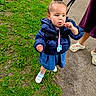 toddler, child, outdoor, grass, sidewalk, jacket, denim, leash, adult_hand, footwear, crocs, flower, curious, walking, nature, person, clothing, baby_shoes, pavement, playful