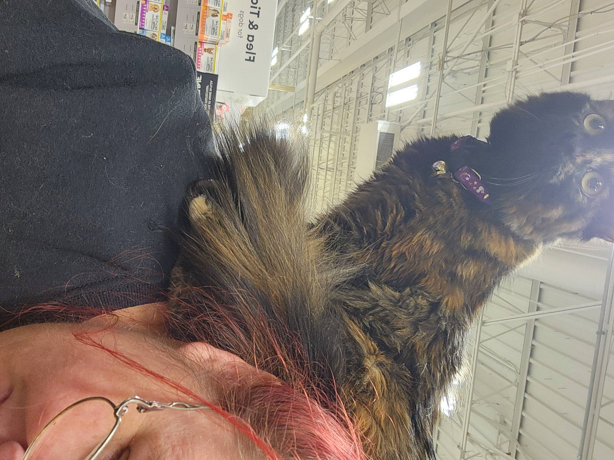 Salem is registered to the contest to win money with this photo: abdomen, barechested, chest, claw, event, feather, flesh, fur, human_leg, metal, navel, selfie, tail, terrestrial_animal, thigh, undergarment, whiskers