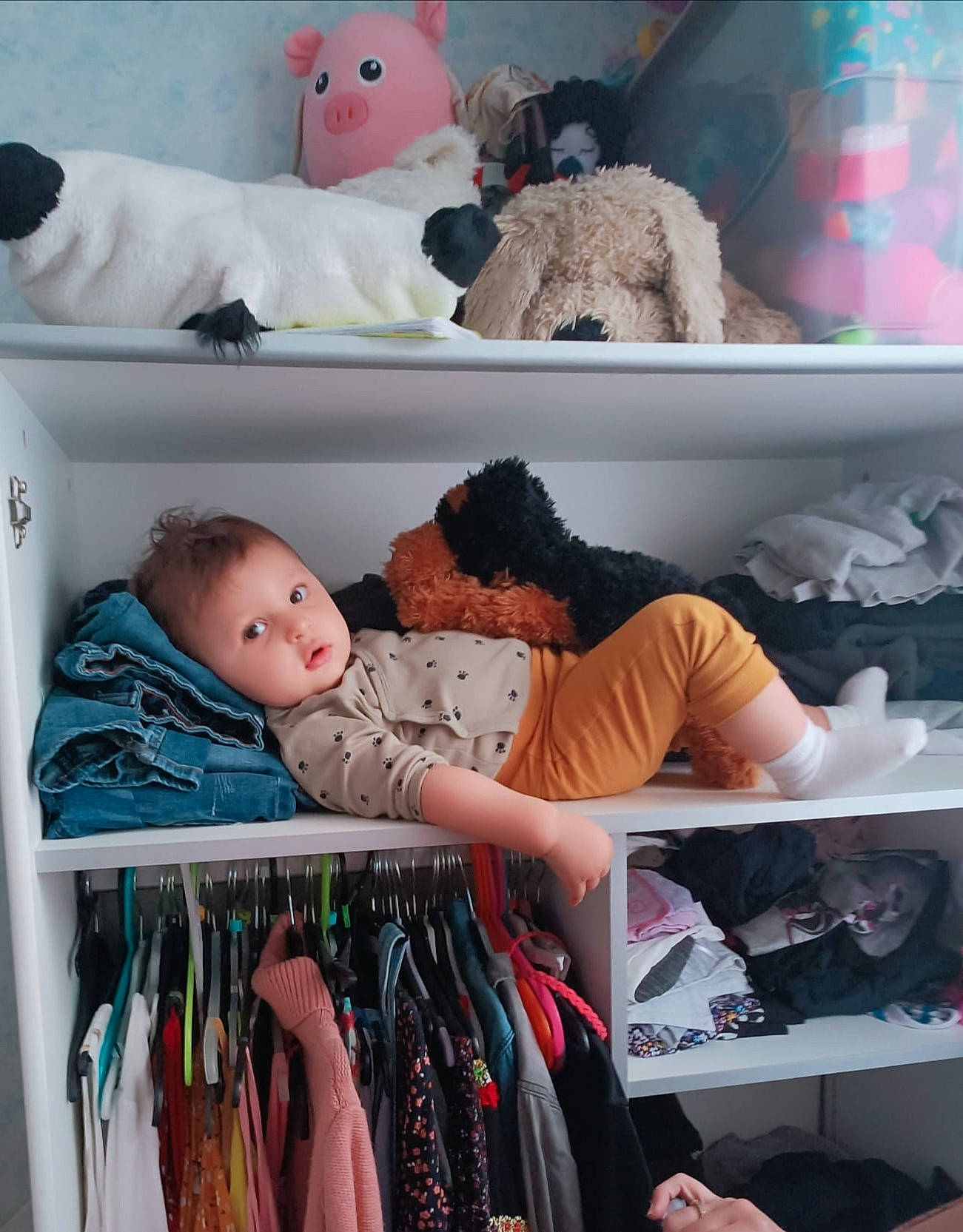 Jimmy participe au concours pour gagner de l'argent avec cette photo : baby, baby_products, child, comfort, design, infant_bed, linens, person, photograph, product, room, shelf, shelving, snapshot, stuffed_toy, t_shirt, teddy_bear, textile, toddler, toy