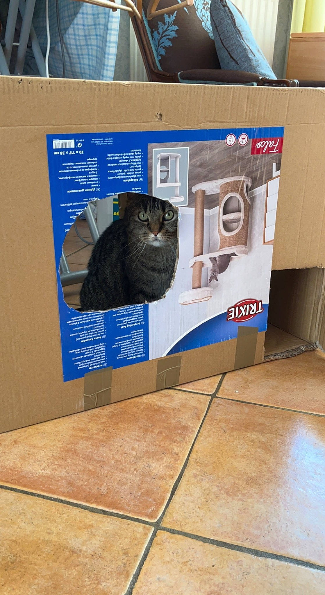 Lipton participe au concours pour gagner de l'argent avec cette photo : advertising, art, bag, carton, electric_blue, flooring, font, gas, logo, packaging_and_labeling, personal_protective_equipment, visual_arts