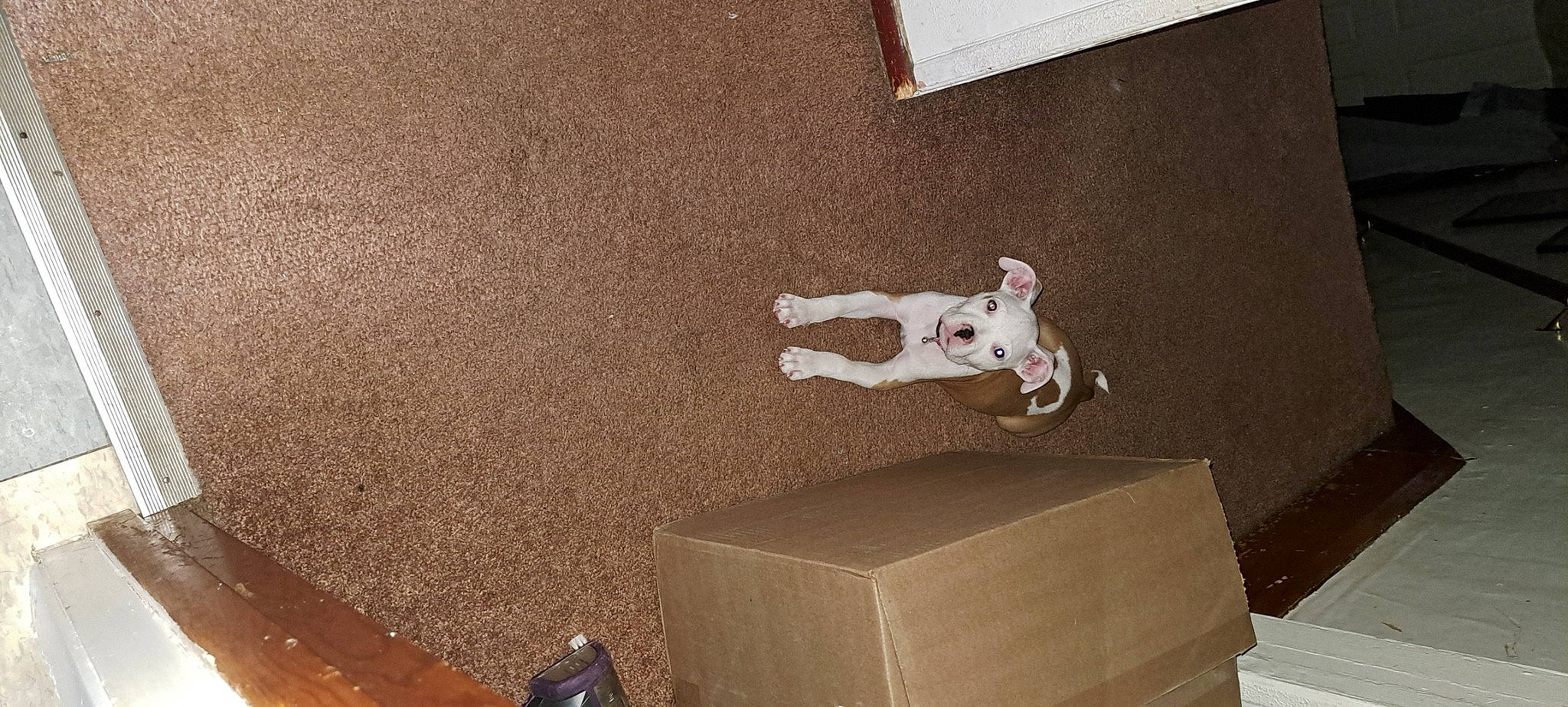 Troubles joined the competition — help win amazing prizes! art, box, carton, concrete, floor, flooring, hardwood, landscape, plaster, plywood, recreation, room, sculpture, shadow, shipping_box, soil, space, tile, visual_arts, wood