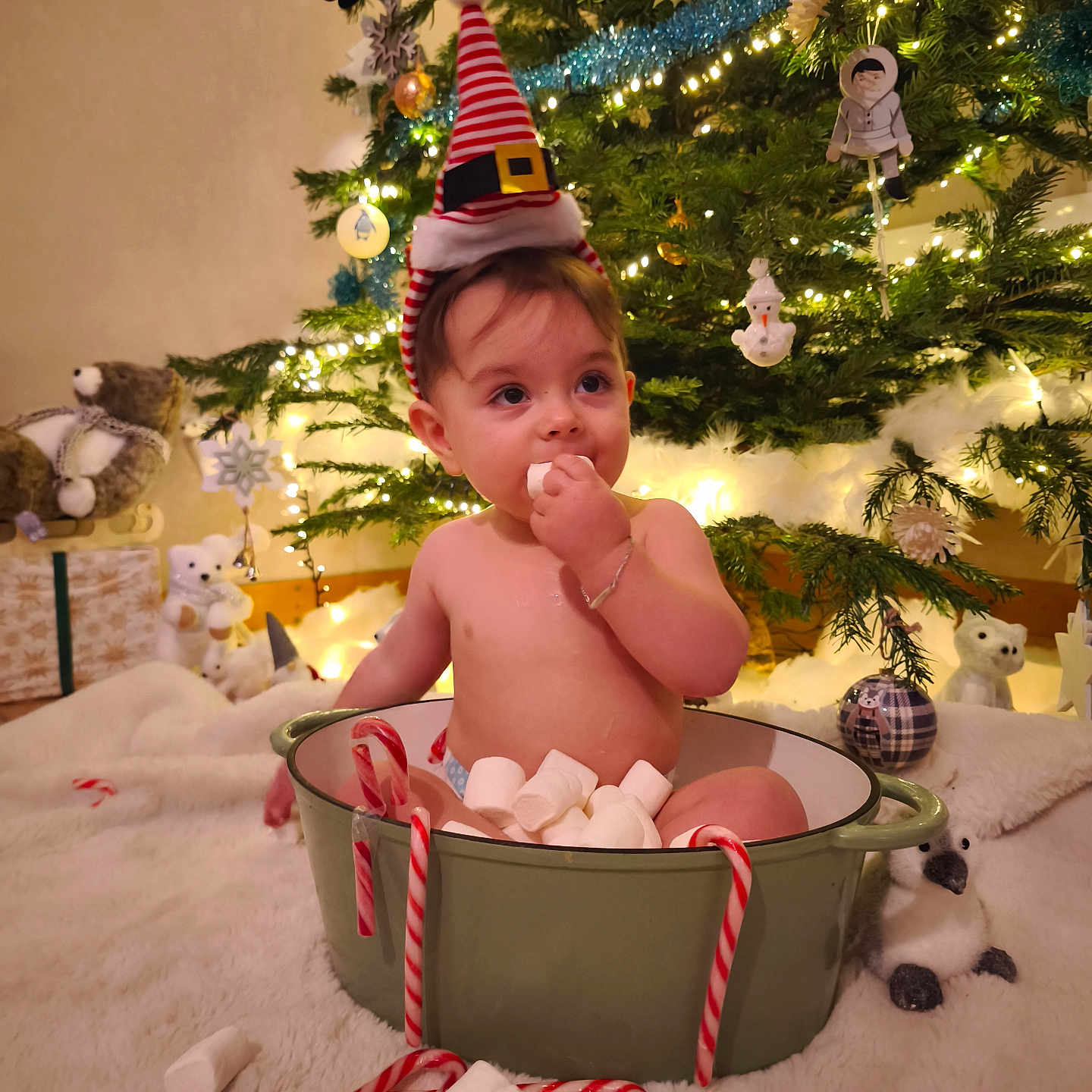Léo a rejoint le concours — aidez-le/la à gagner de superbes lots ! baby, candy_canes, celebration, child, christmas, christmas_tree, cute, decorations, festive_hat, holiday, indoor, infant, lights, marshmallows, pot, smiling, stuffed_animals, toys, warm, winter