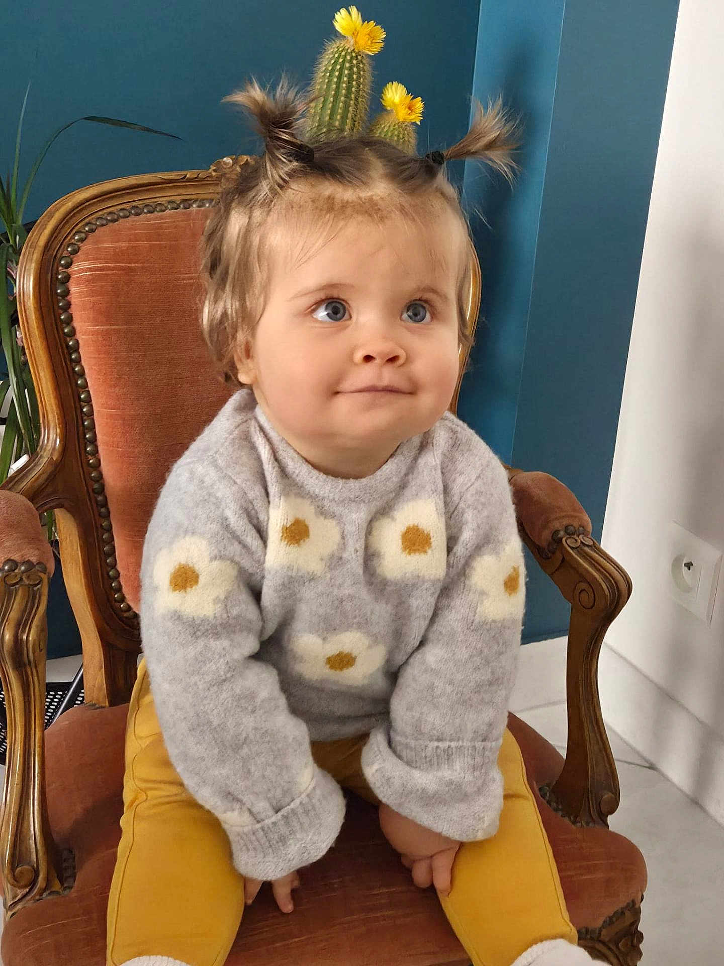 Alba participe au concours pour gagner de l'argent avec cette photo : child, toddler, baby, pigtails, blue_eyes, sweater, daisy_pattern, yellow_pants, vintage_chair, indoor, cactus, plant, portrait, smile, hands, socks, hair, cozy, wall, expression