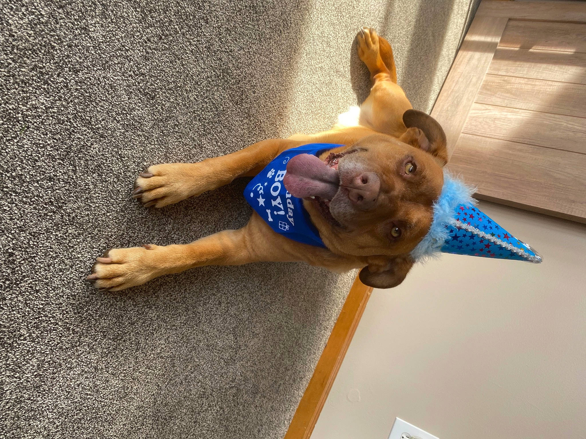 Brady joined the competition — help win amazing prizes! balance, barefoot, child, doll, elbow, electric_blue, fawn, flooring, foot, human_leg, knee, leisure, room, sportswear, t_shirt, tail, thigh, toddler, wood, wrist