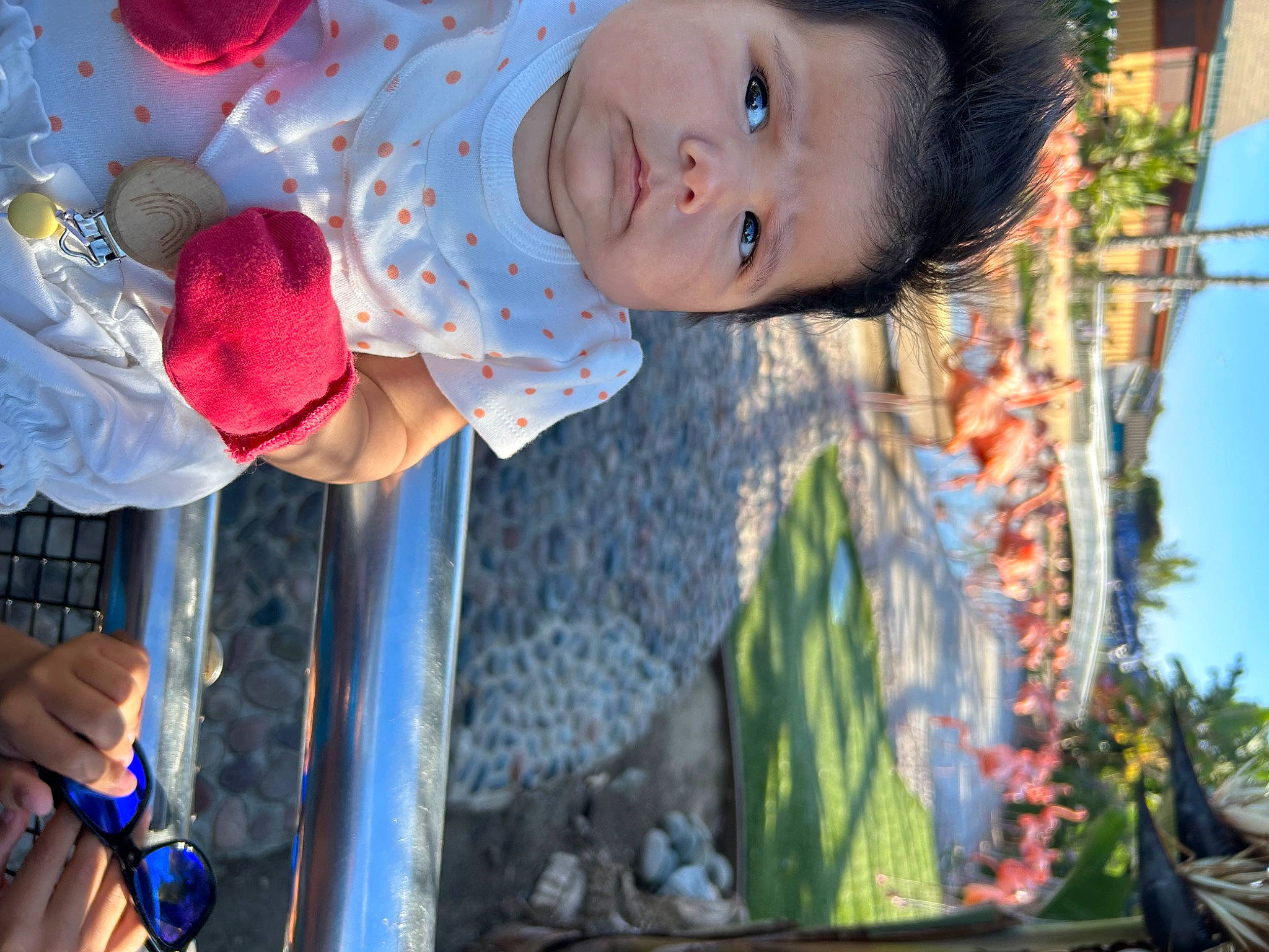 Reina joined the competition — help win amazing prizes! adaptation, azure, blue, child, fun, happy, leaf, leisure, light, person, photograph, plant, red, sky, snapshot, summer, textile, toddler, tree, water