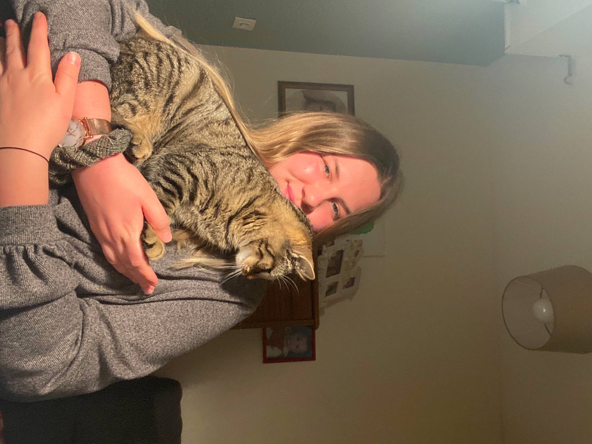 Hagrid a rejoint le concours — aidez-le/la à gagner de superbes lots ! big_cats, carnivore, cat, comfort, domestic_short_haired_cat, elbow, felidae, fur, gesture, military_camouflage, nail, pattern, room, sitting, small_to_medium_sized_cats, smile, television, terrestrial_animal, whiskers, wildlife