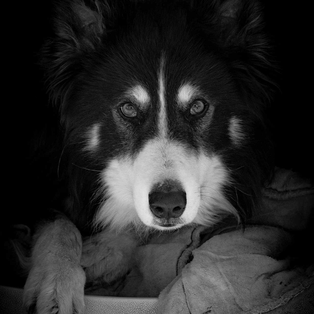Marley
