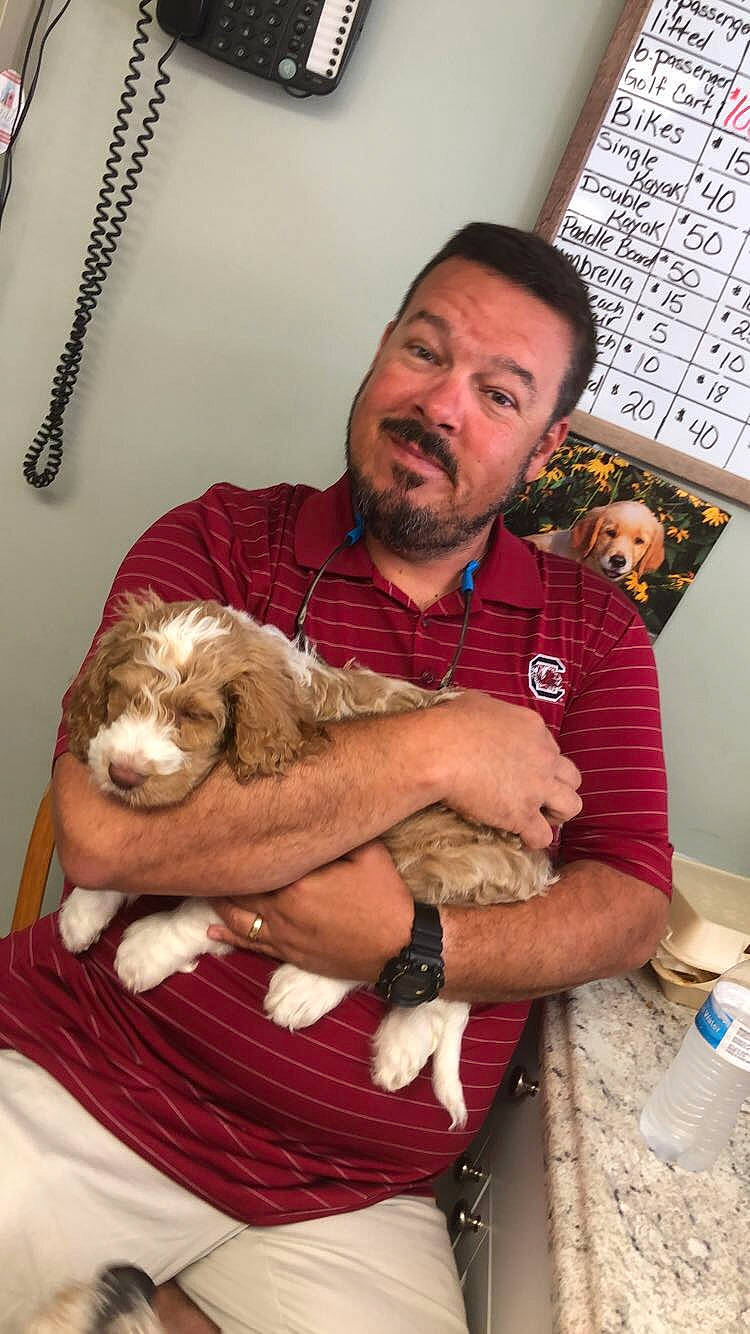 Oliver joined the competition — help win amazing prizes! canidae, carnivore, cat, dog_breed, felidae, puppy