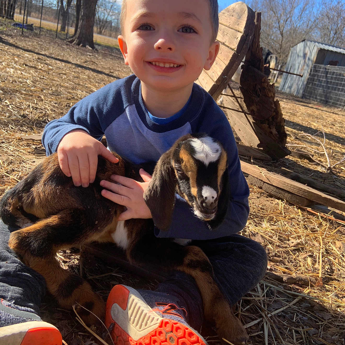 Brayden joined the competition — help win amazing prizes! boy, child, clothing, face, footwear, grass, head, male, nature, outdoors, person, photography, plant, portrait, runningshoe, shoe, sneaker, soil, tree, wood