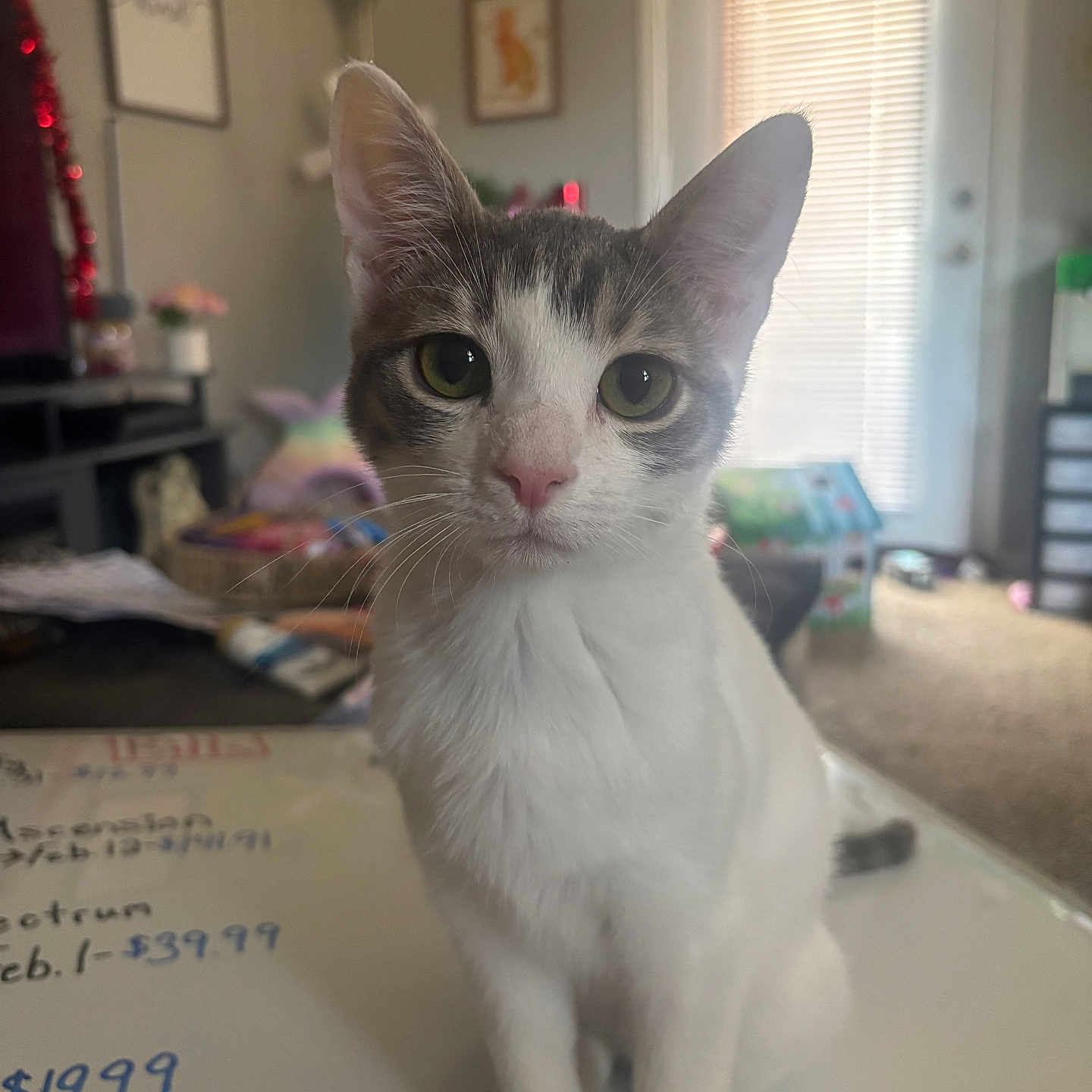 Millie
