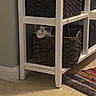 Millie joined the competition — help win amazing prizes! cat, basket, shelf, floor, rug, tile_floor, white_furniture, curious_cat, pet, indoor, home, resting, hiding, feline, animal, cute, cozy, woven_basket, colorful_rug, quiet