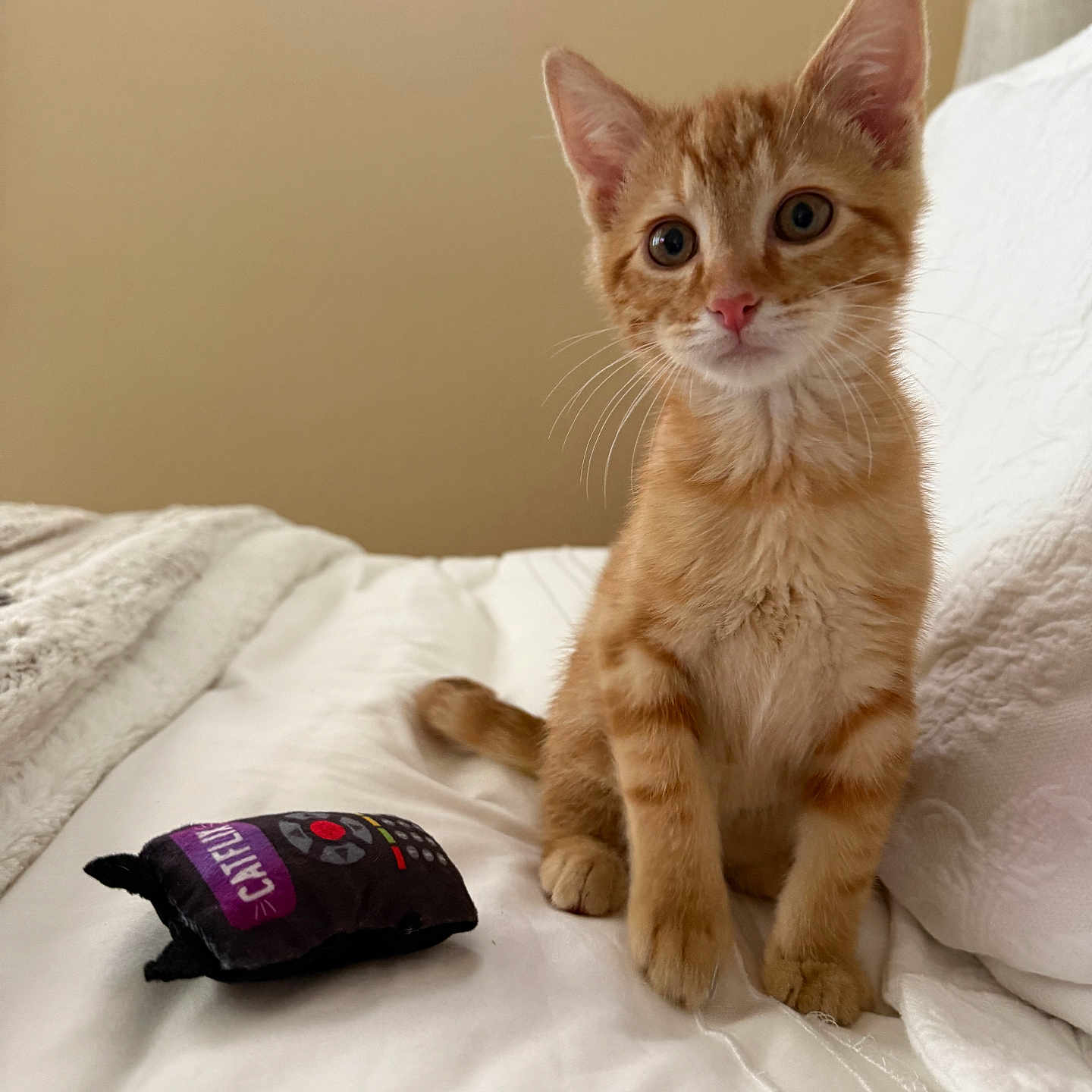 Milo