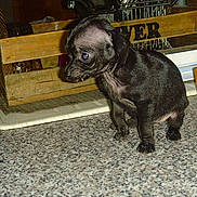 Canelle participe au concours pour gagner de l'argent avec cette photo :