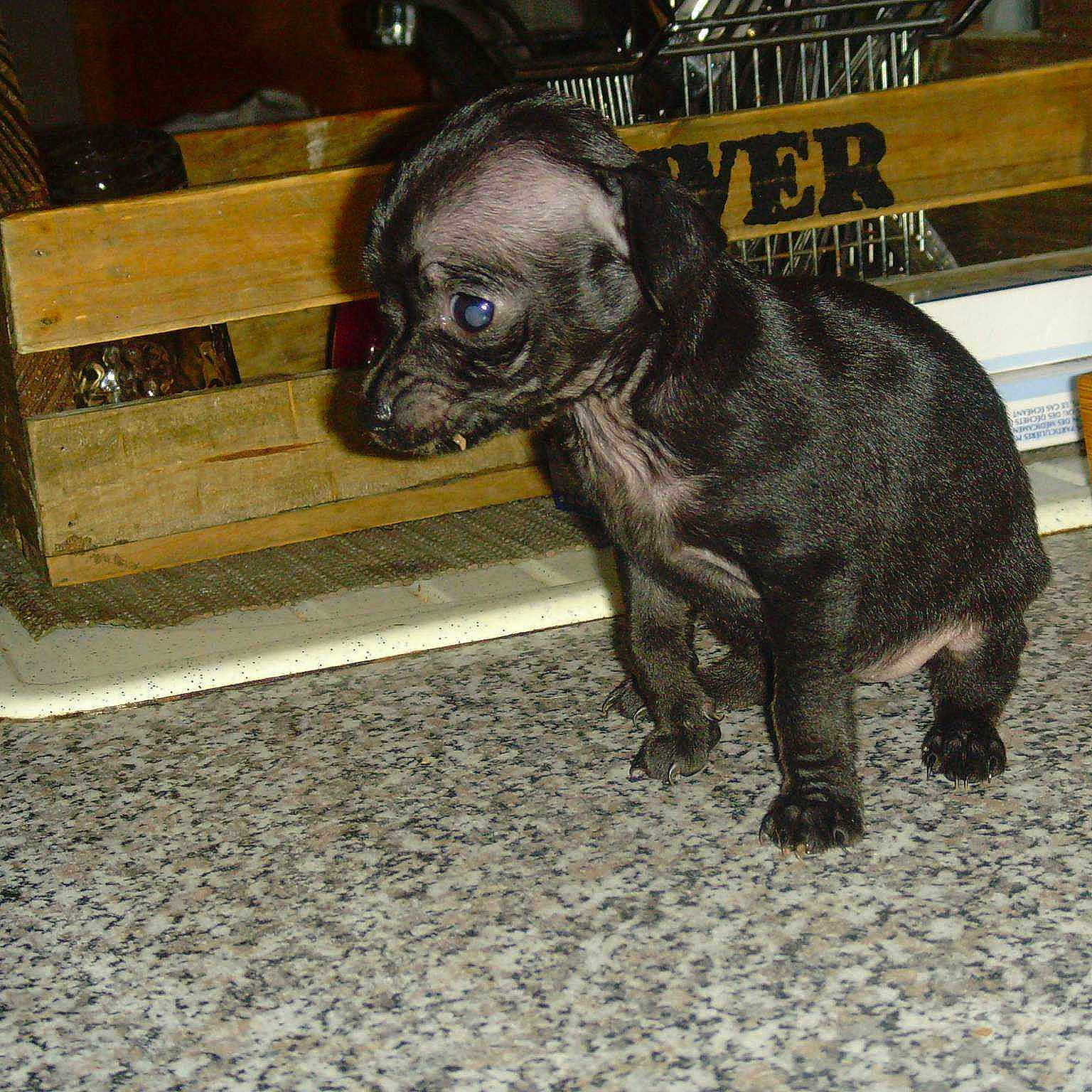 Canelle participe au concours pour gagner de l'argent avec cette photo :