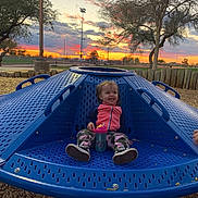 Scarlett joined the competition — help win amazing prizes! accessories, alloywheel, animal, architecture, baby, backyard, ball, beach, beak, bench, bird, boat, building, canine, canoe, car, carnival, carwheel, city, clothing