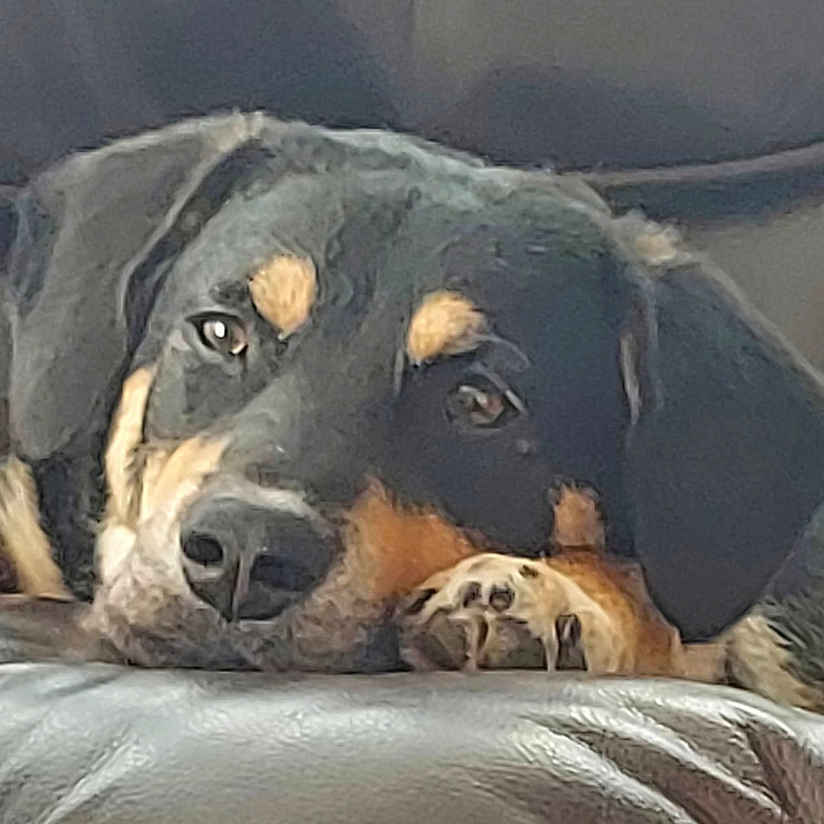 Cooper