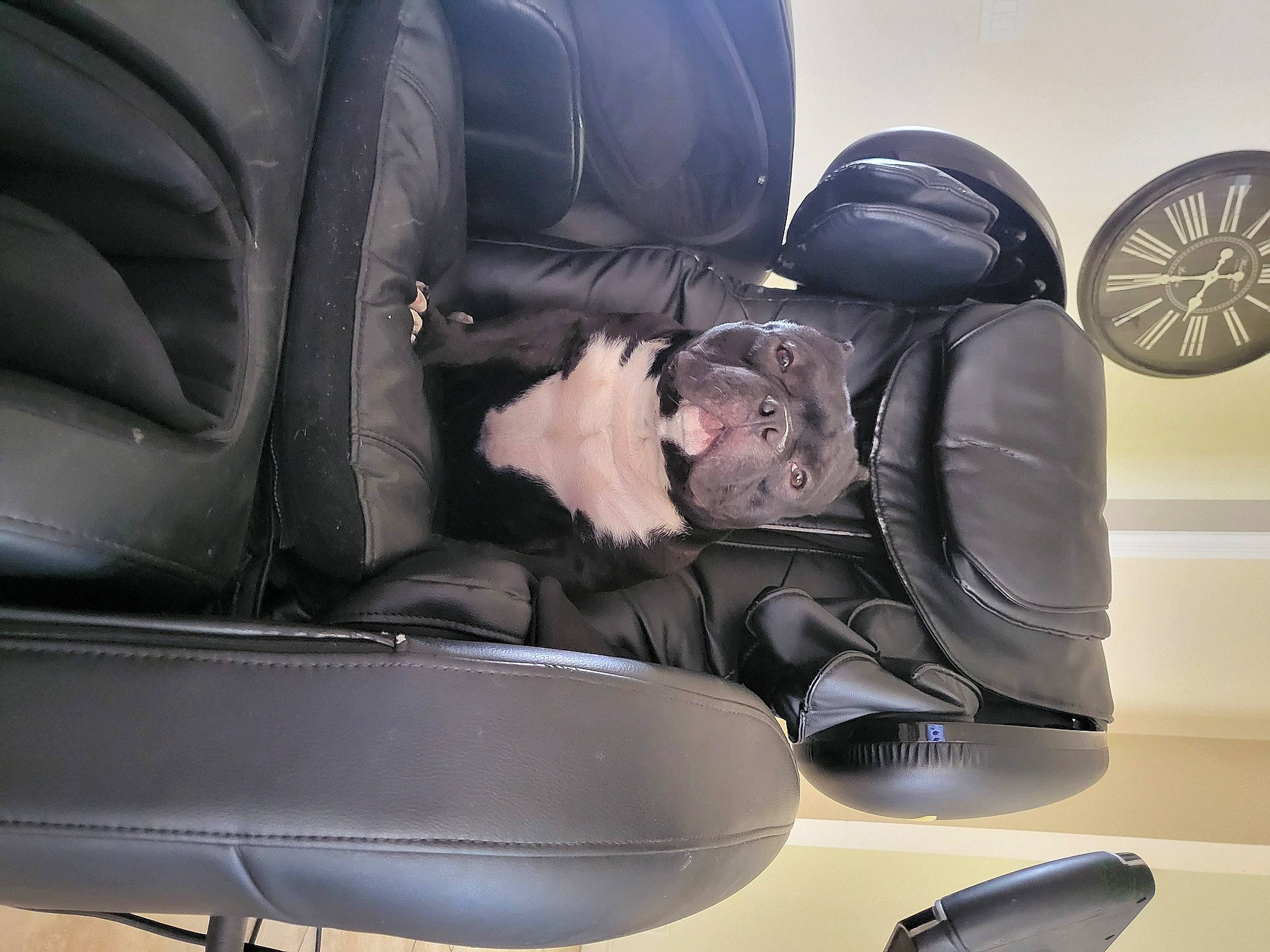 Venom is registered to the contest to win money with this photo: auto_part, automotive_design, automotive_exterior, automotive_lighting, automotive_tire, automotive_wheel_system, car, car_seat, car_seat_cover, comfort, family_car, head_restraint, hood, motor_vehicle, personal_luxury_car, tire, vehicle, vehicle_door, wheel, window