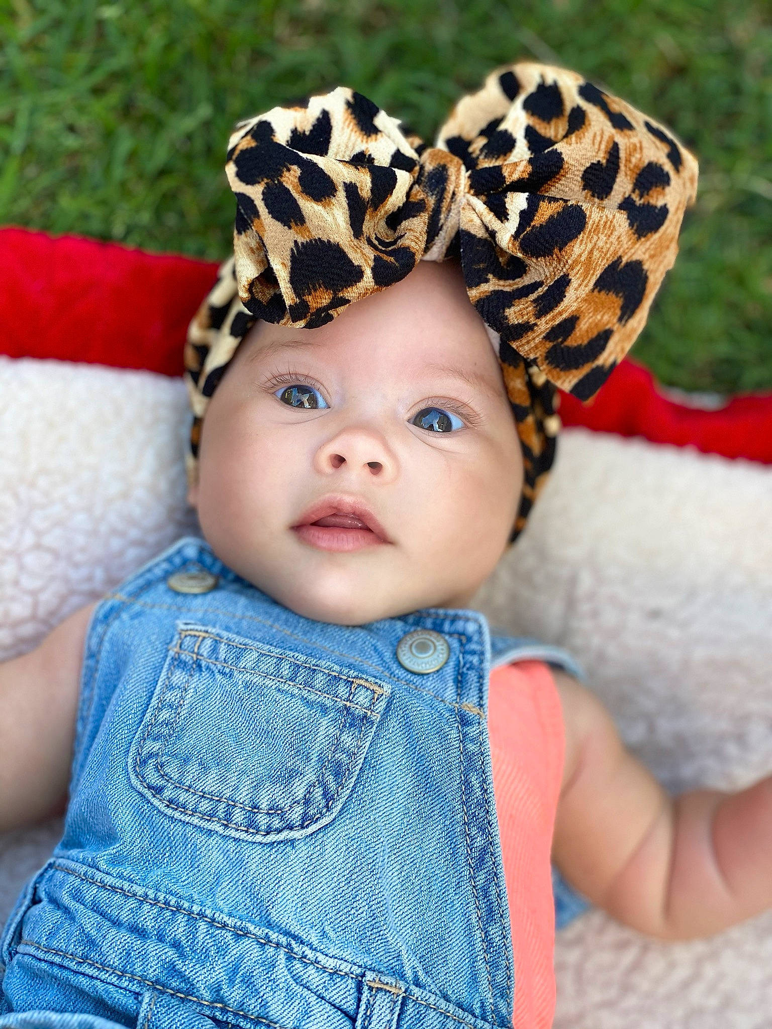 Mykah joined the competition — help win amazing prizes! baby, baby_toddler_clothing, cap, child, child_model, costume_accessory, ear, fashion_accessory, fur, grass, hair_accessory, hat, head, headgear, headwear, pattern, person, photography, skin, toddler