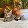 Milow Et Lana