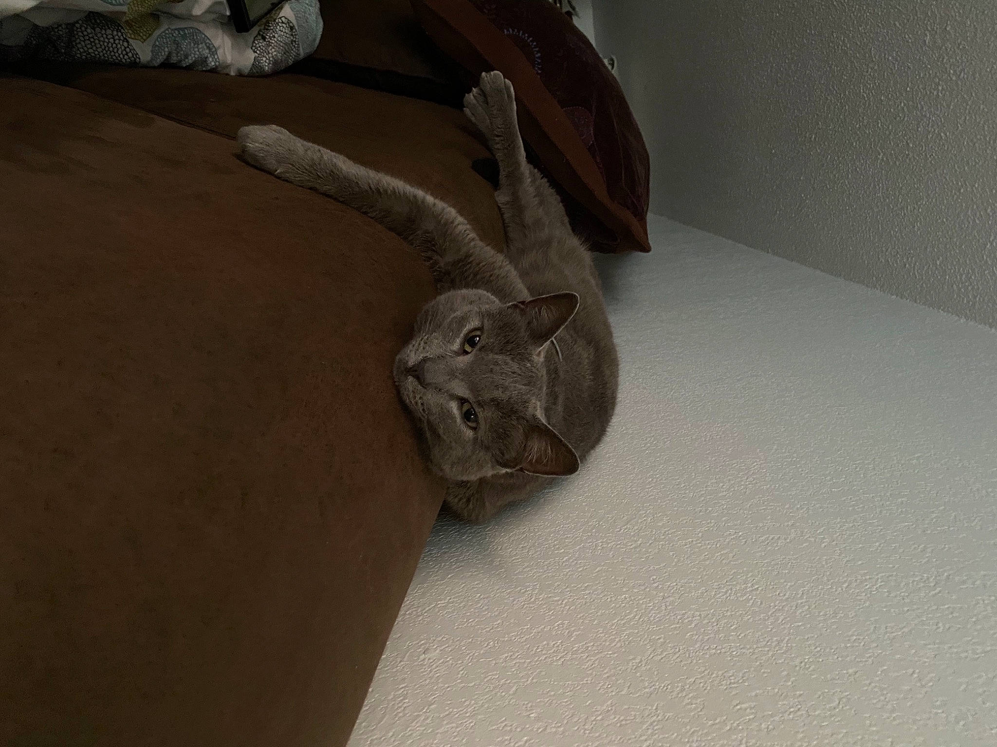 Apple participe au concours pour gagner de l'argent avec cette photo : art, artifact, automotive_design, bag, carmine, concrete, creative_arts, fashion_accessory, flooring, grey, hardwood, linens, luggage_and_bags, metal, pattern, rock, sculpture, twig, visual_arts, wood