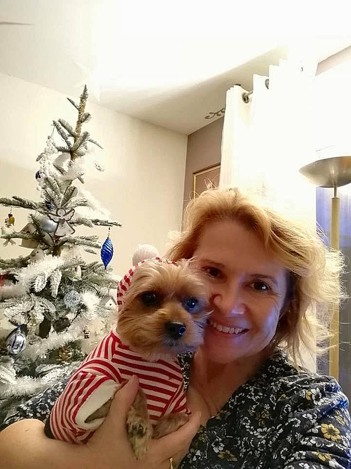 Floyd participe au concours pour gagner de l'argent avec cette photo : cairn_terrier, canidae, carnivore, christmas, christmas_tree, companion_dog, dog, dog_breed, dog_clothes, headwear, joy, morkie, norwich_terrier, person, pomeranian, puppy, puppy_love, selfie, west_highland_white_terrier