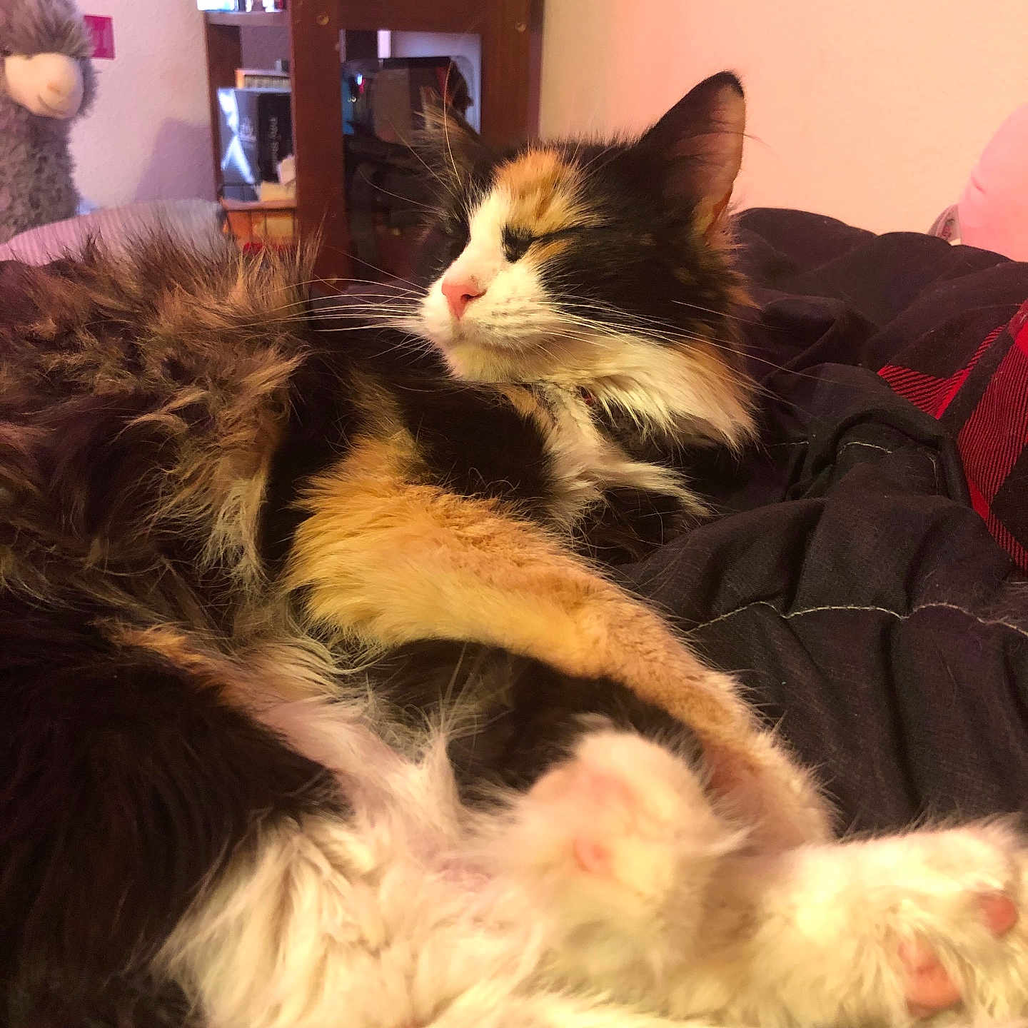 Princess